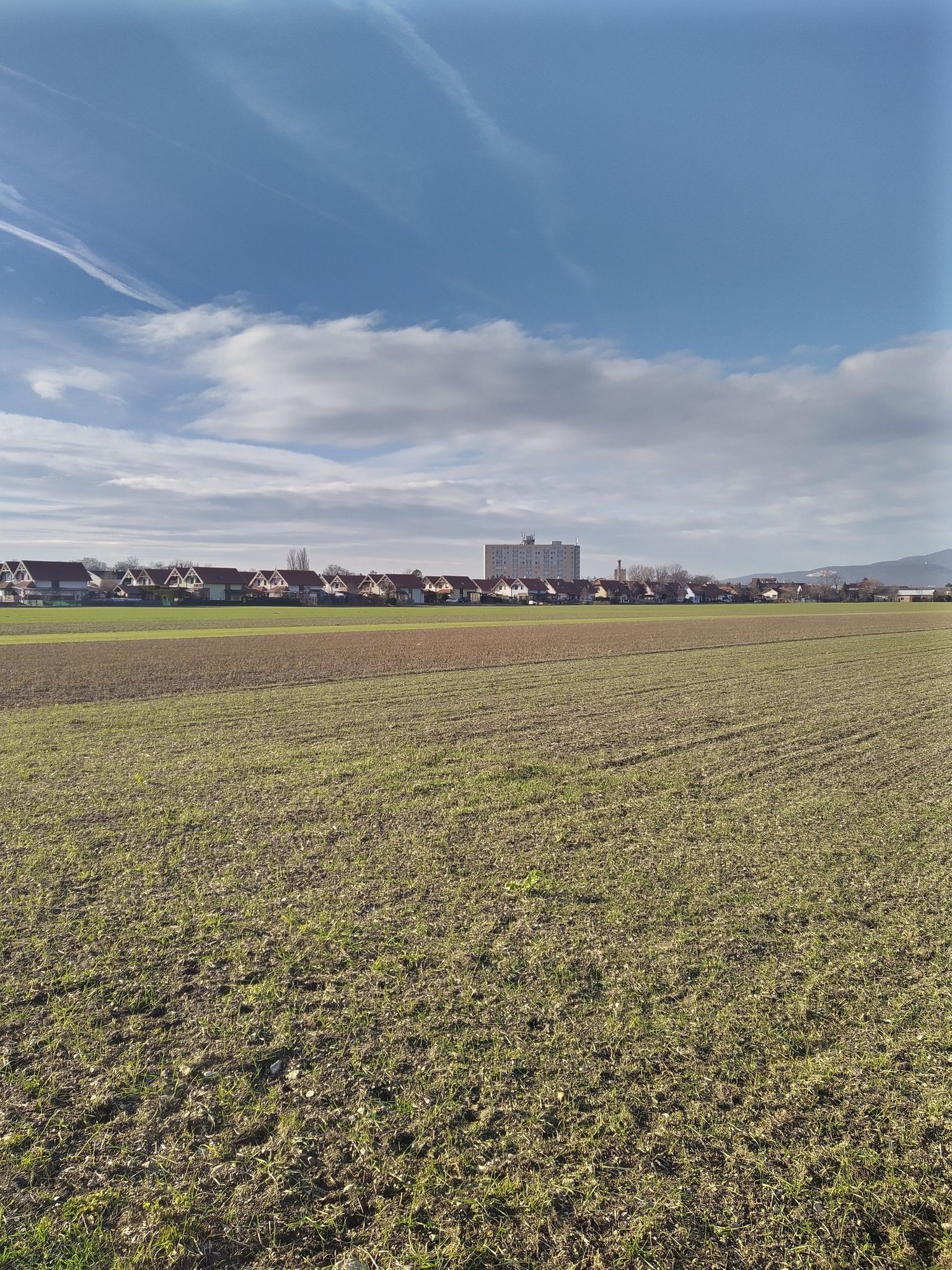 Günselsdorf
