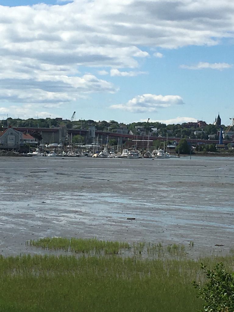 Mudflats and a marina with boats, backed by a distant city skyline. - Bug Light Park – Red's Dairy Freeze loop from South Portland