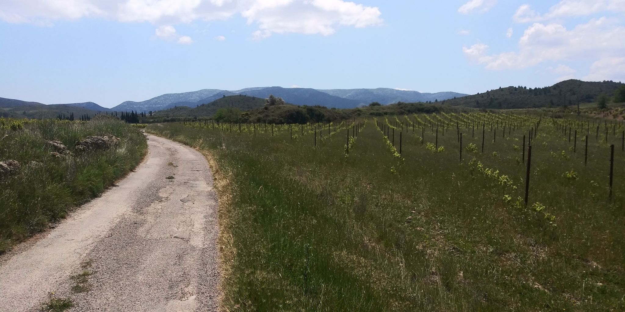 nice little road