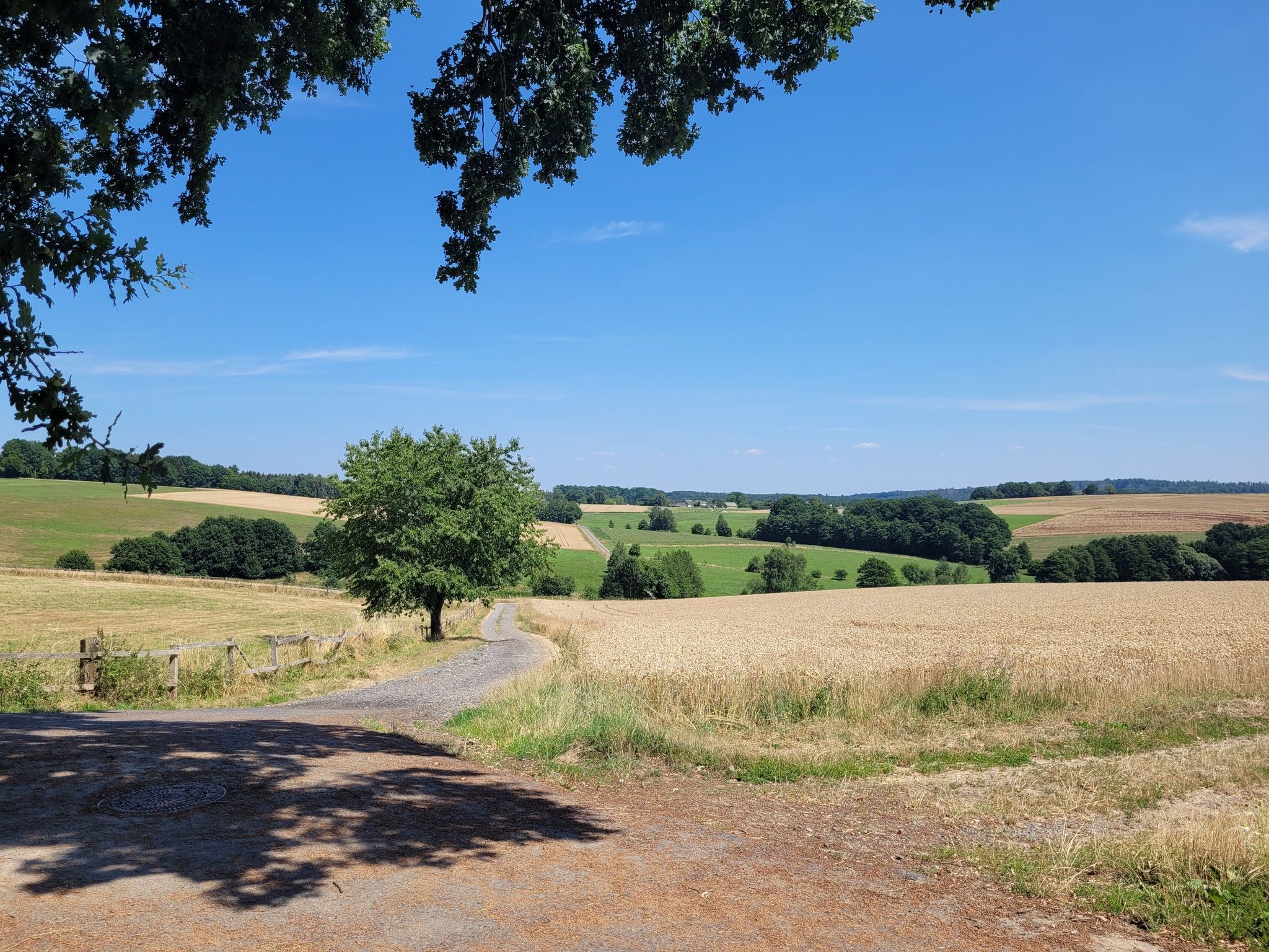 Blick zurück über das Hirzbachtal