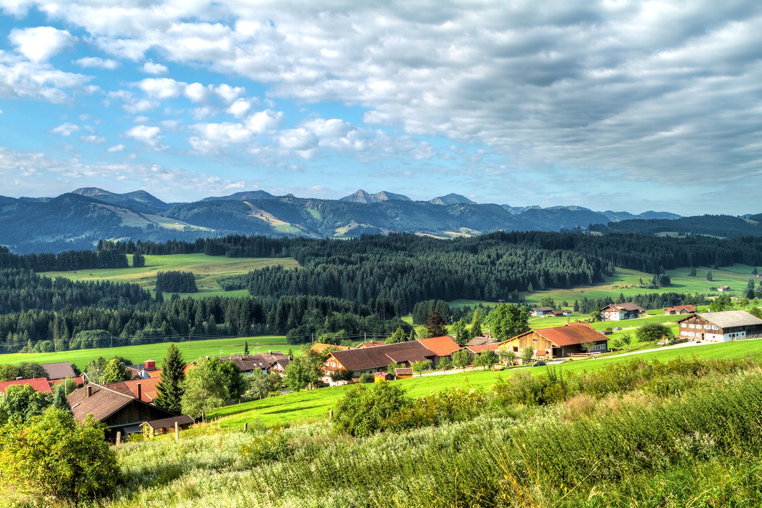 Diepolz