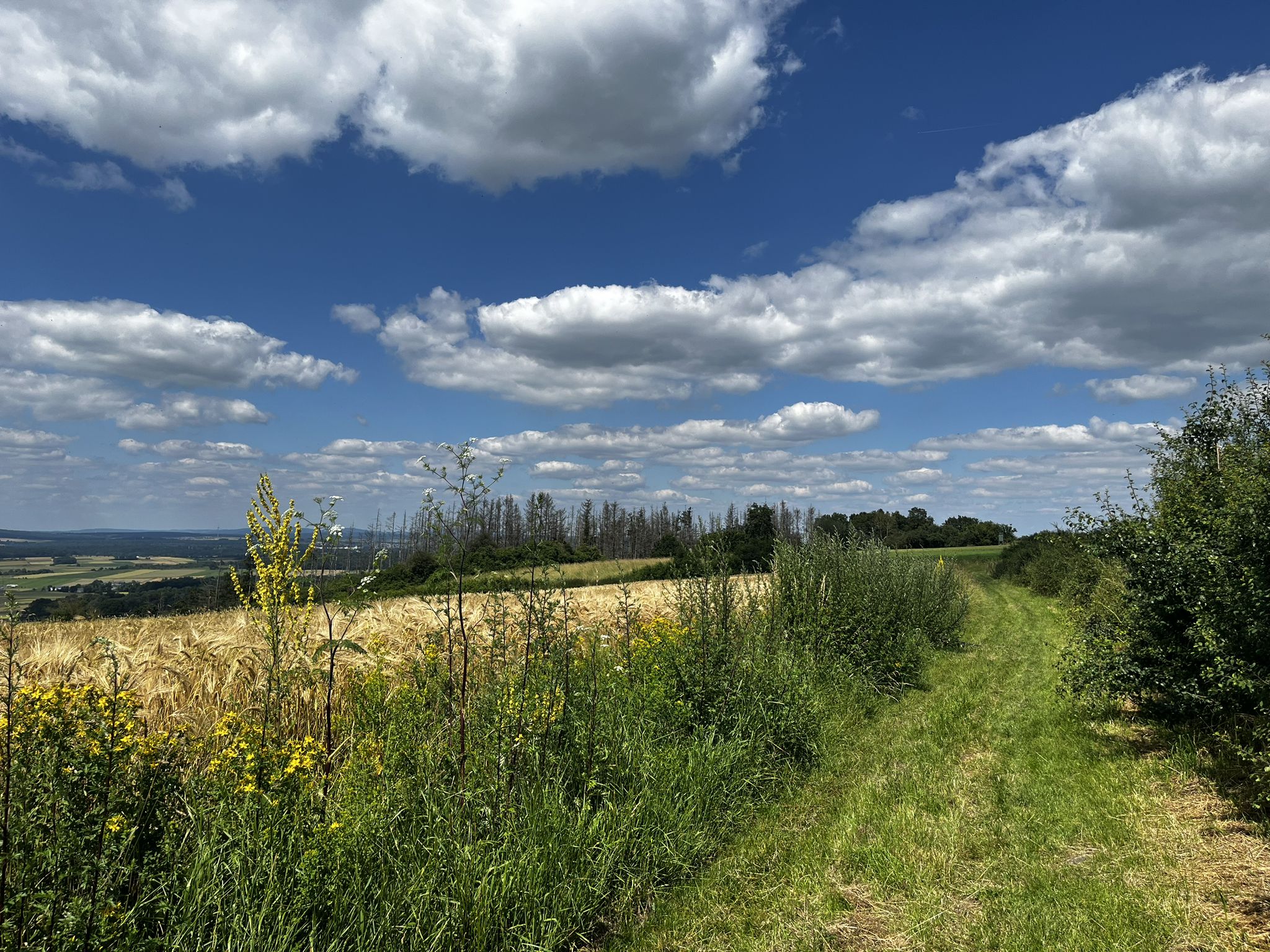 Wegdoku