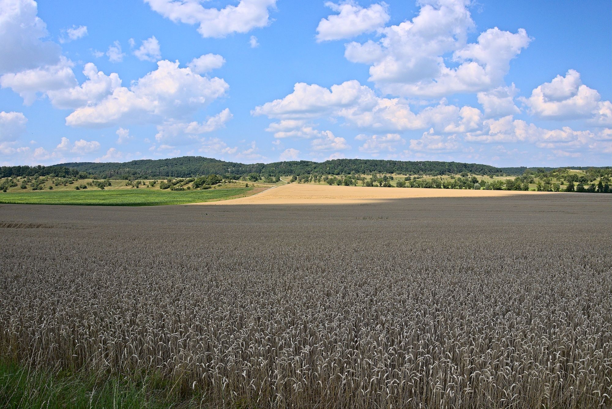 Blick an der Landesgrenze von Thüringen nach Bayern