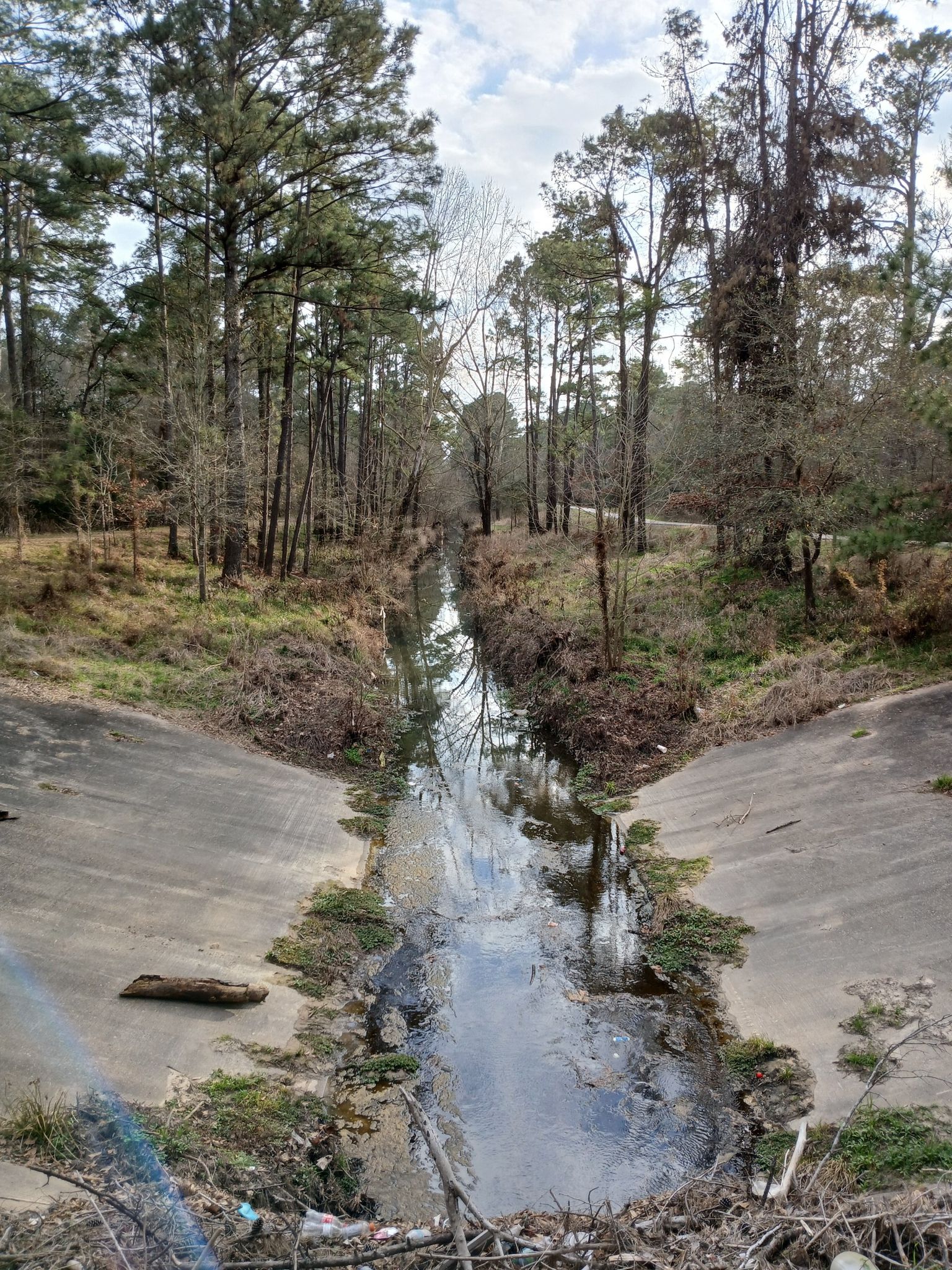 Narrow concrete canal with water flowing through a winter forest under cloudy sky. - Jesse Jones Western Loop