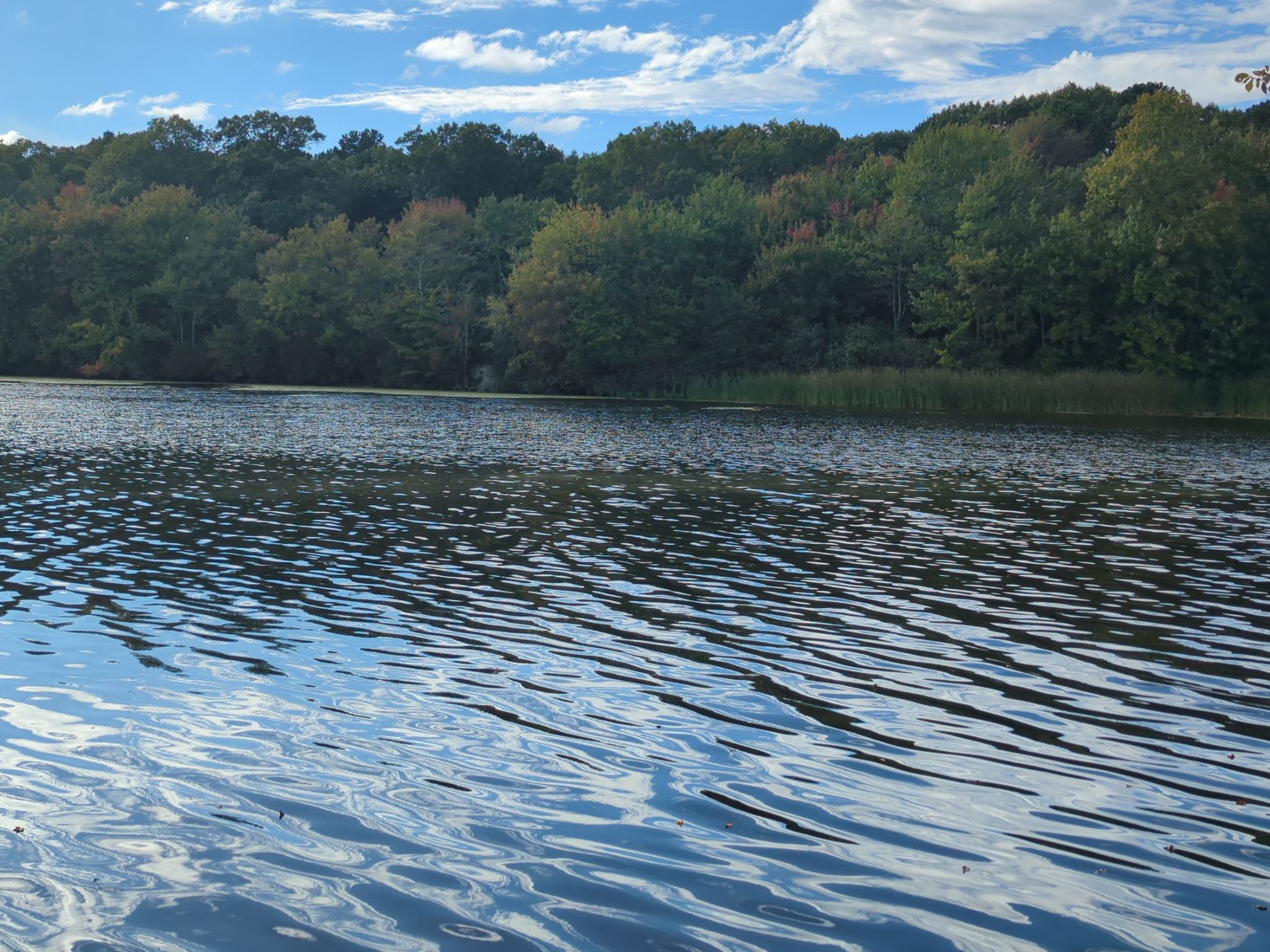 Rippling water surface with a distant green treeline under a blue sky. - Seekonk Sanctuary via Seekonk Meadows