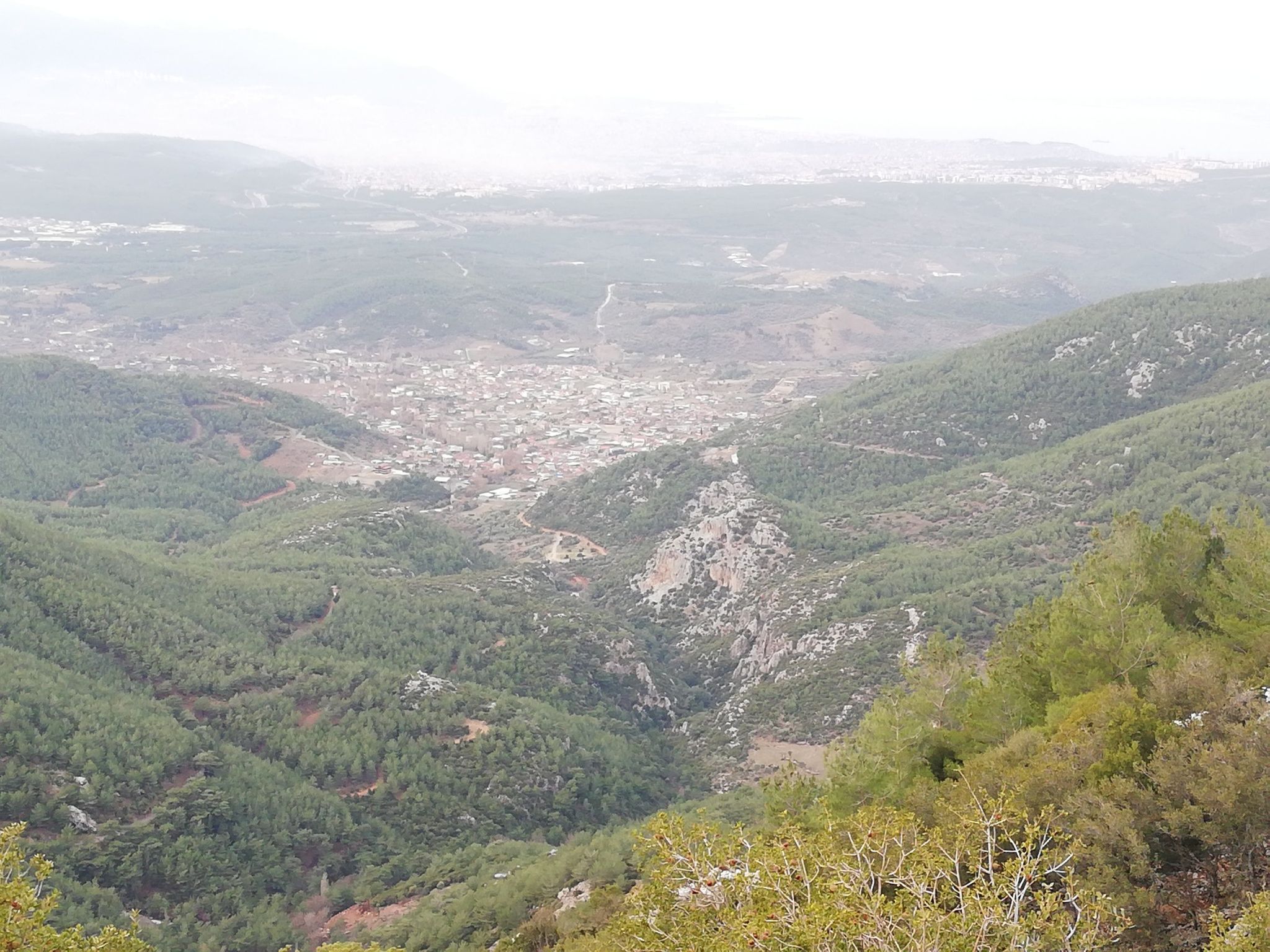 kanyon