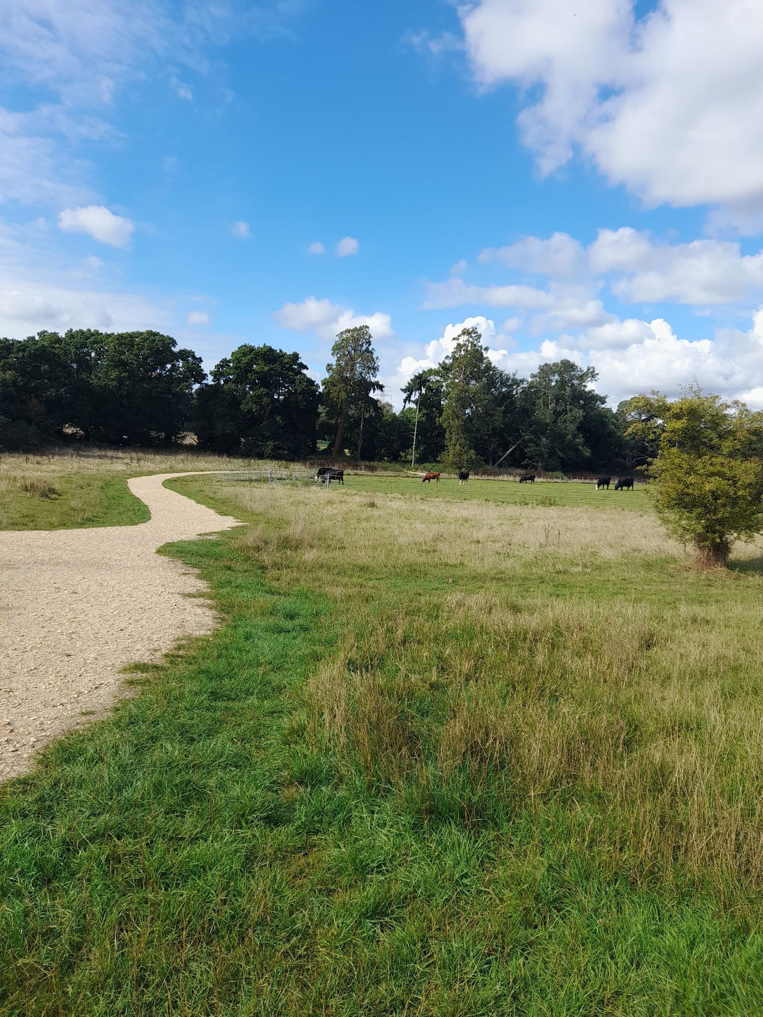 upton country park