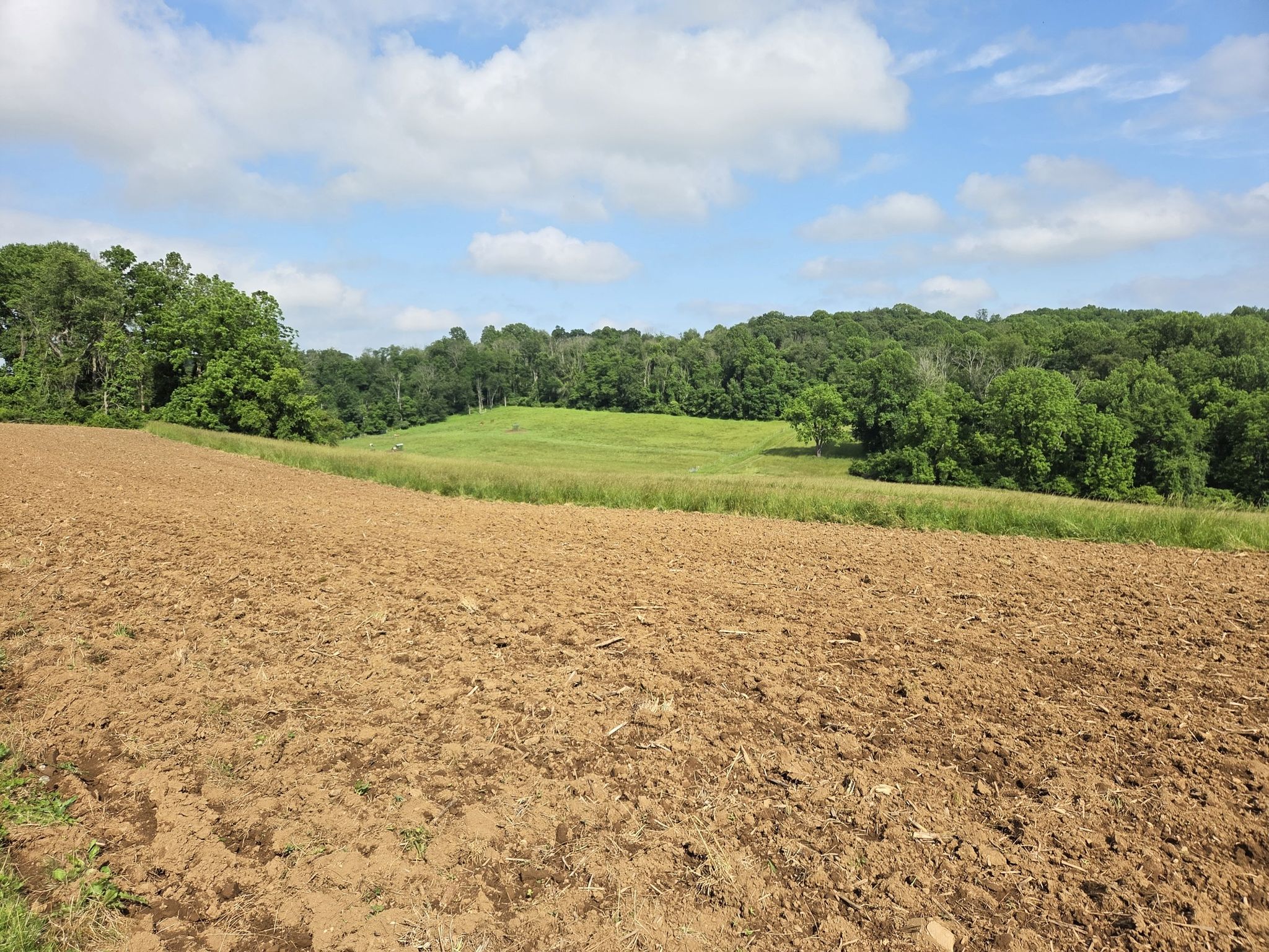 Plowed brown field, green meadow, and distant forest under a bright, cloudy sky. - The Rocks at Brandywine Creek
