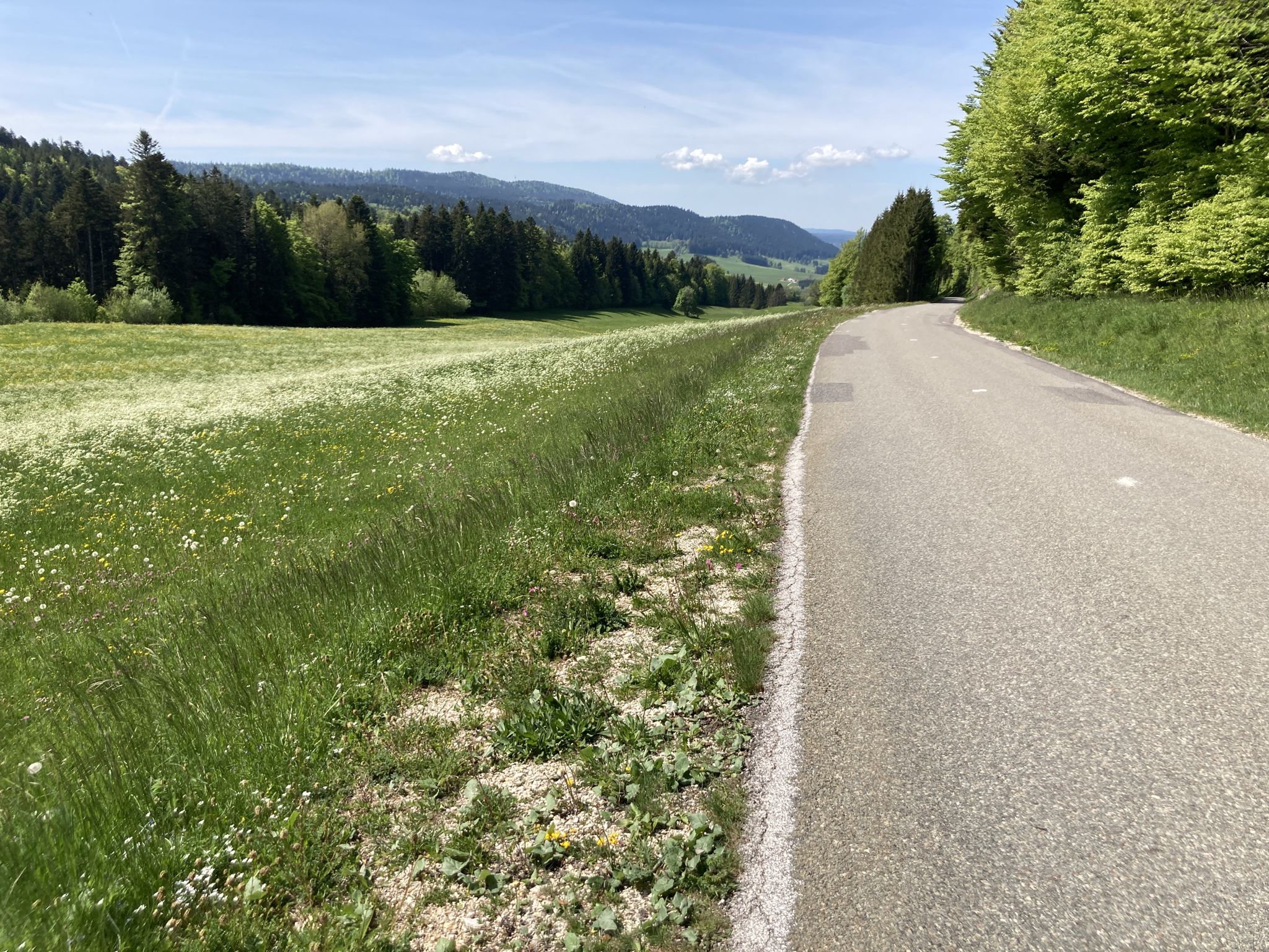 Descente vers les Alliés
