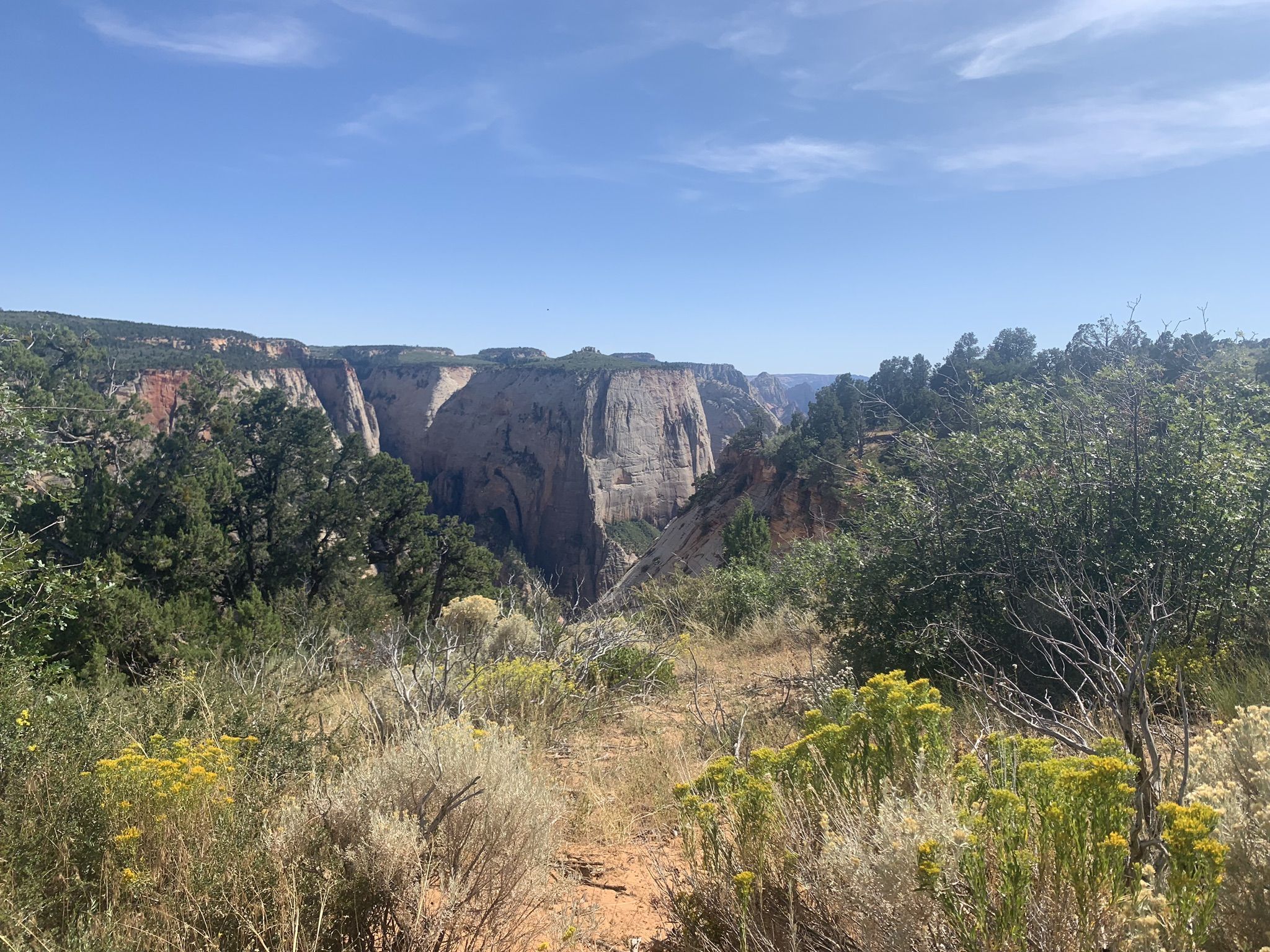 Dirt path through desert brush overlooking a distant canyon under a blue sky. - Observation Point via Stave Spring Trailhead