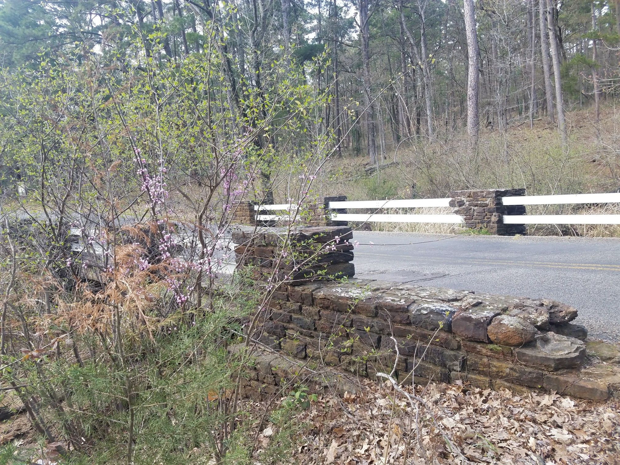 Stone and white wooden railing along a road through a wooded area. - C Loop Trail loop from Tyler State Park