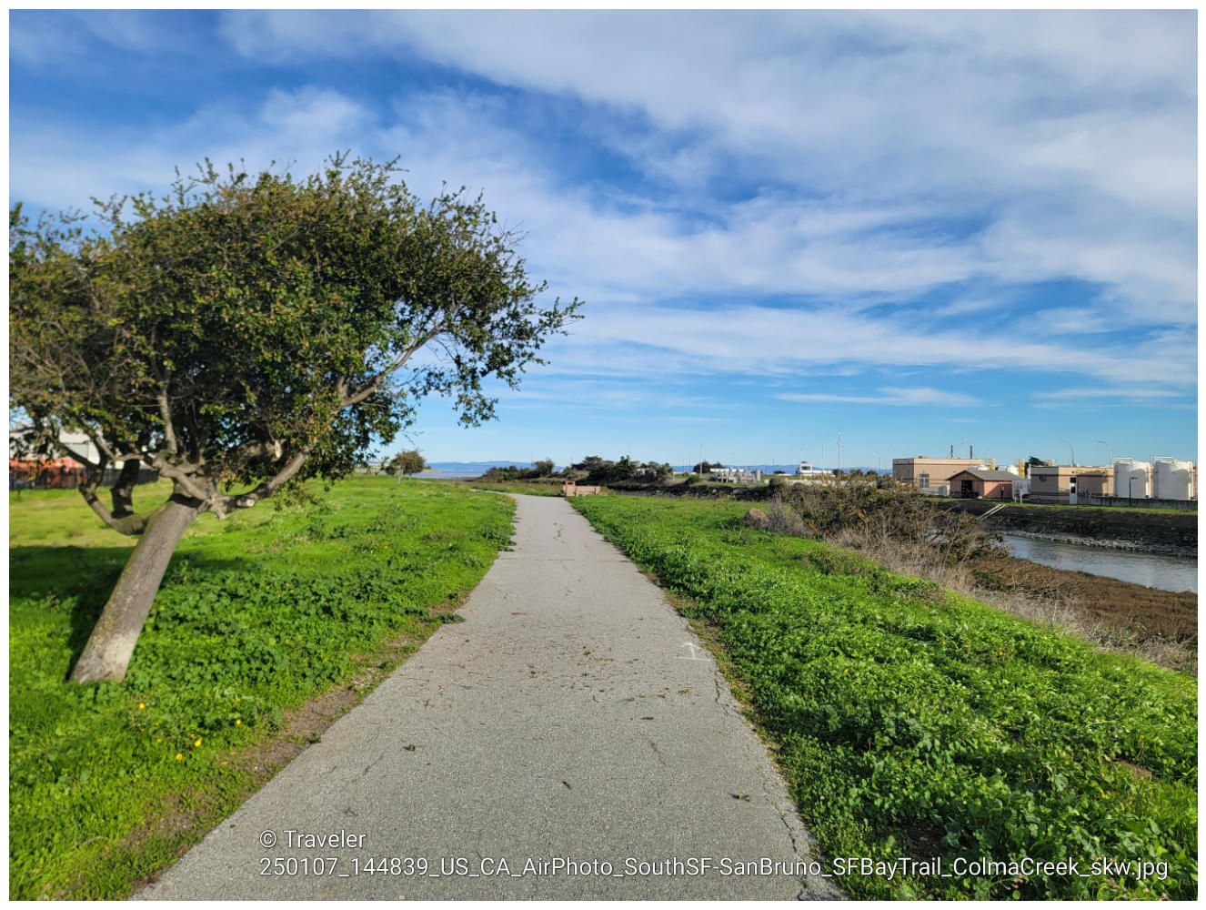 Paved path through green grass, with a leaning tree and distant water. - Brisbane Lagoon – Brisbane Lagoon loop from Long Term Parking