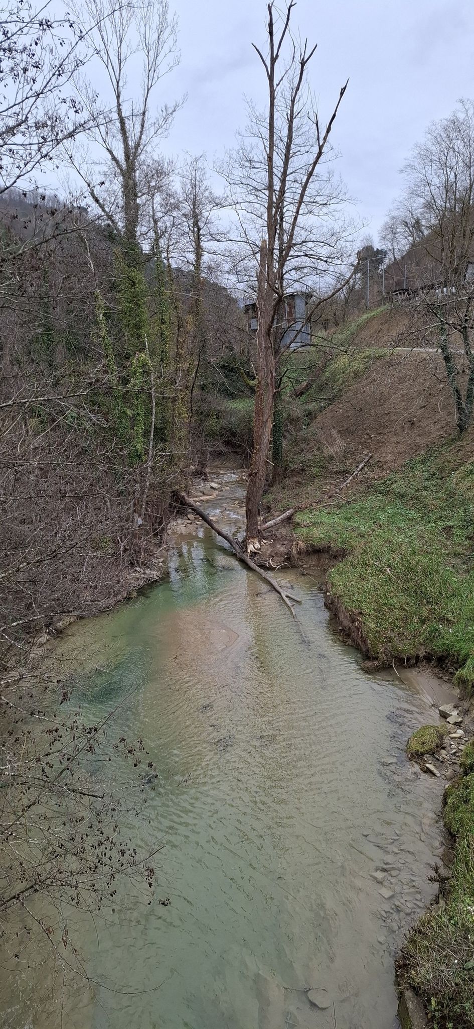 Il Rio Cestina
