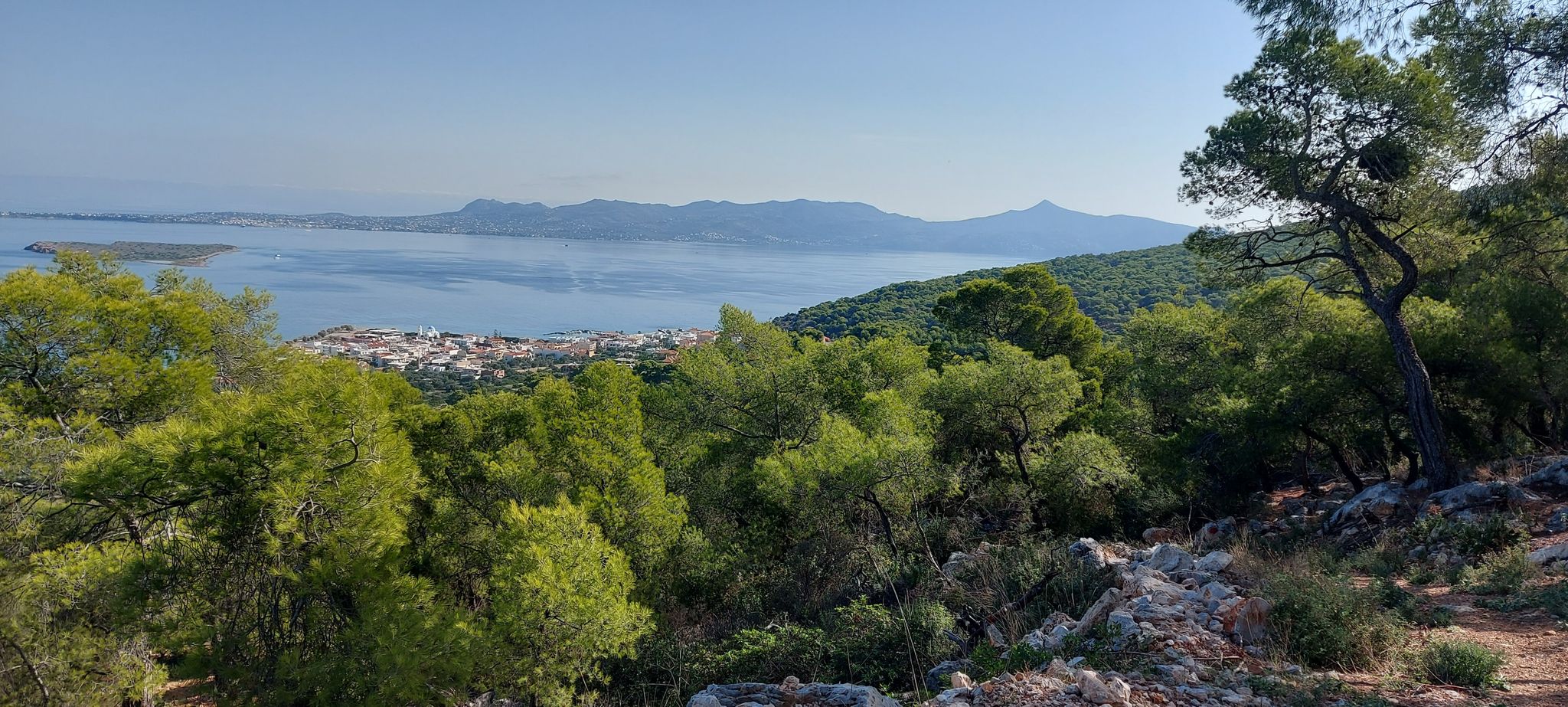 Skala