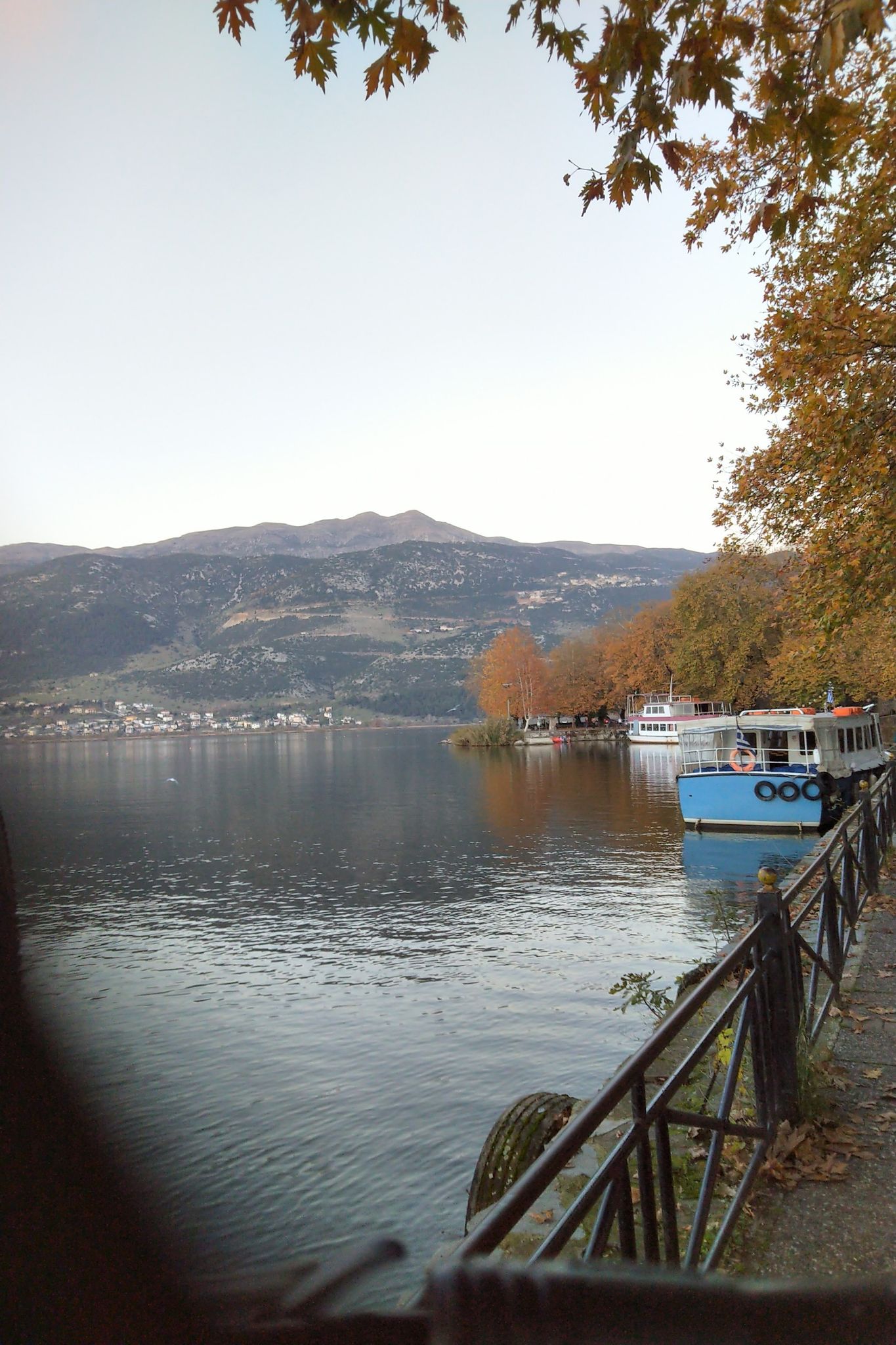 Boote