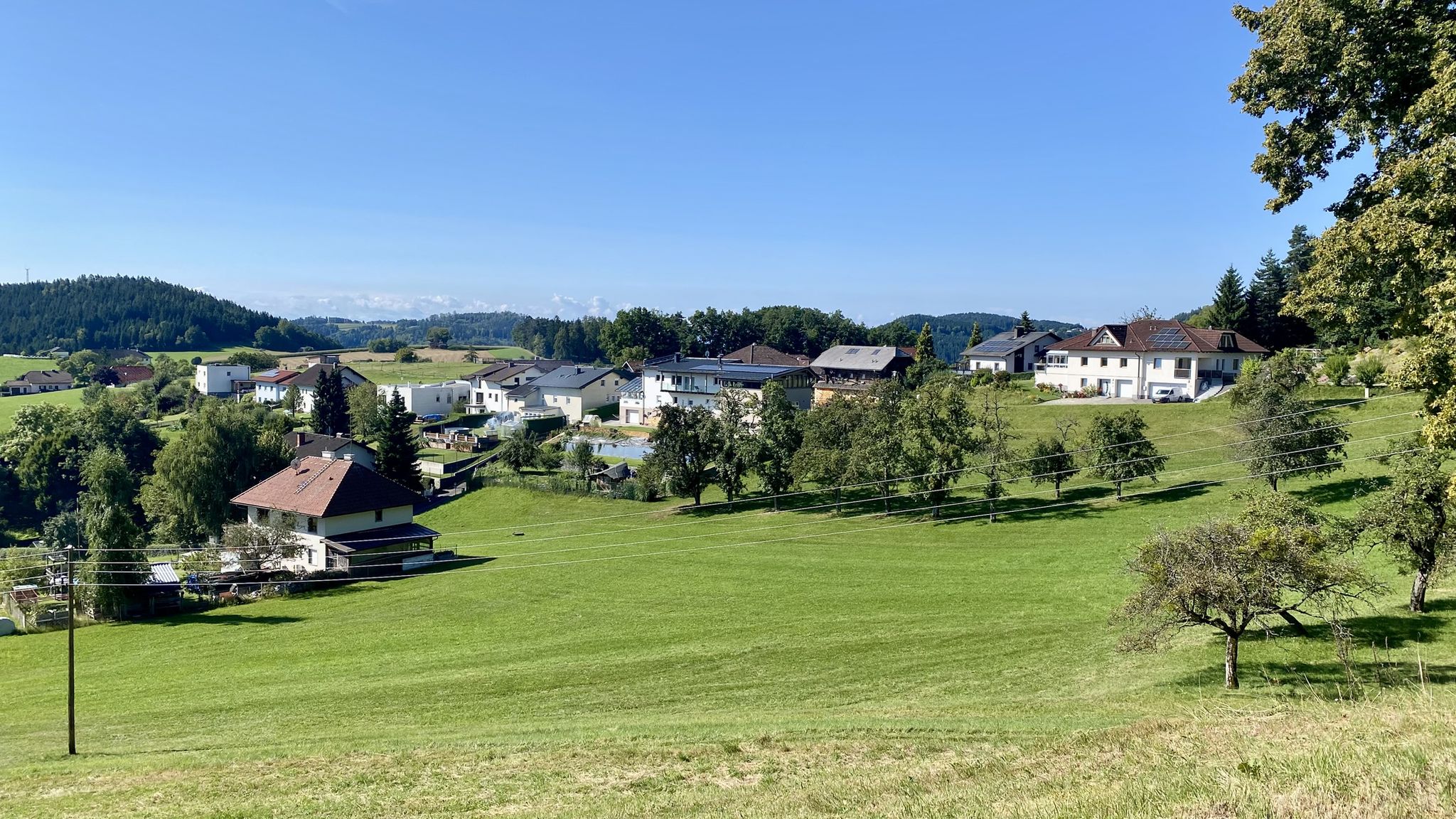 Gutau - Lehen