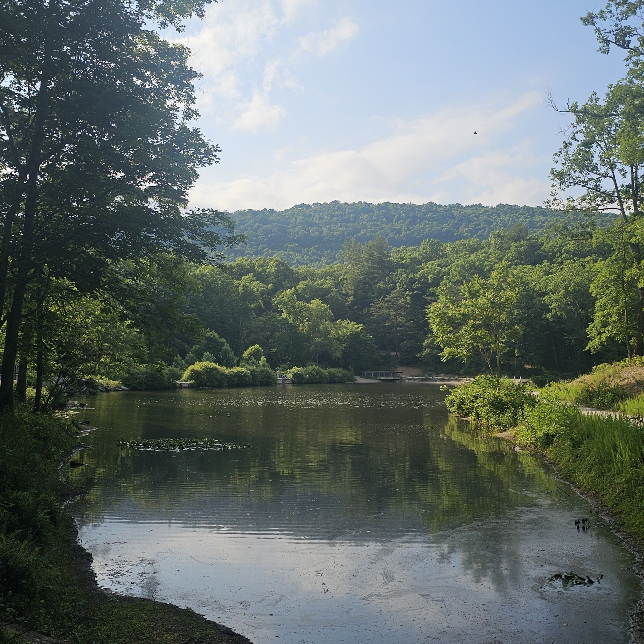 Sunny lake surrounded by lush green trees and distant hills. - May Apple Trail – Pandapas Pond loop from Blacksburg Rotary Mountain Biking Skills Park