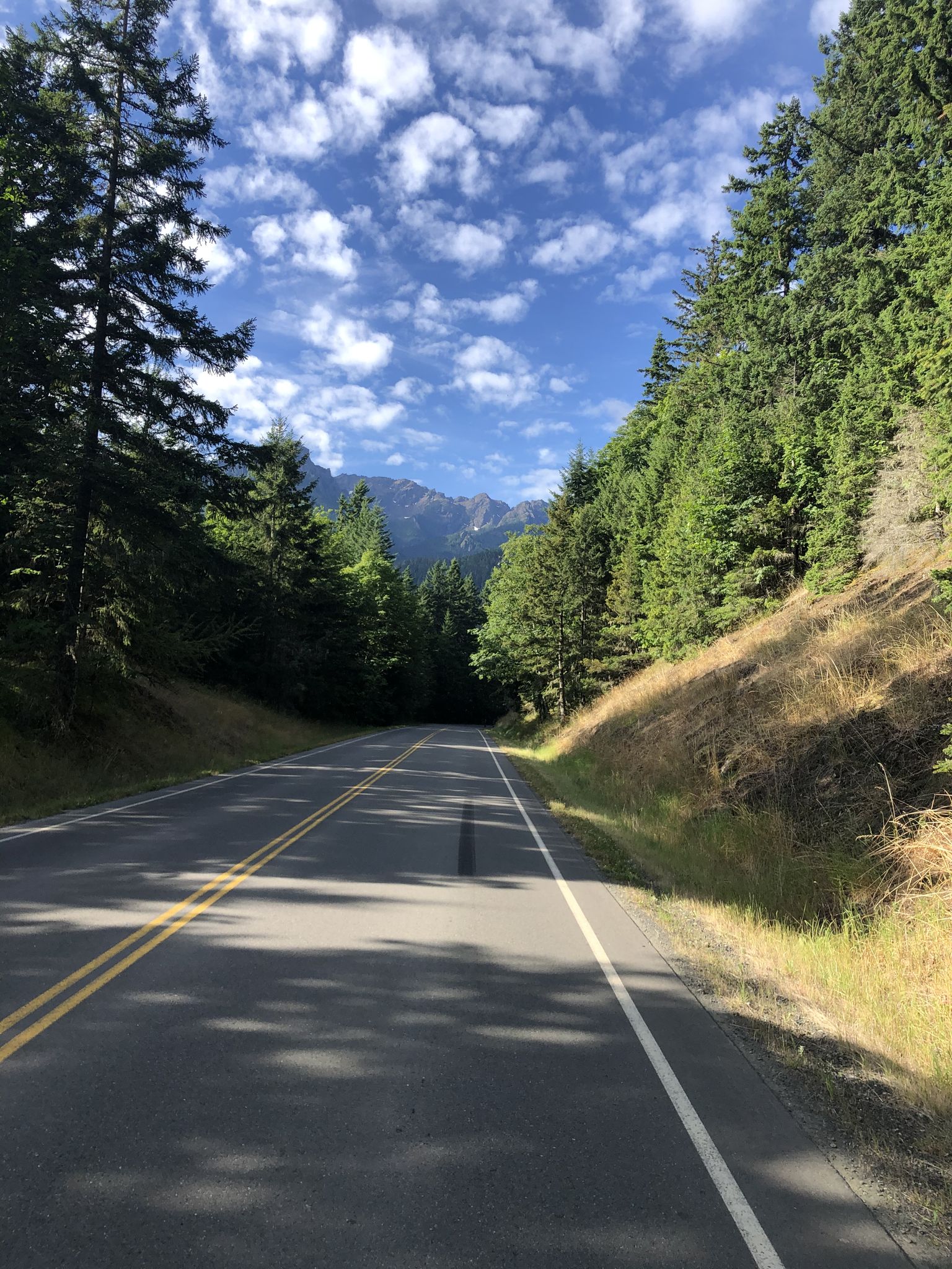Empty paved road winding through a dense forest under a cloudy blue sky. - Hurricane Ridge Road Climb