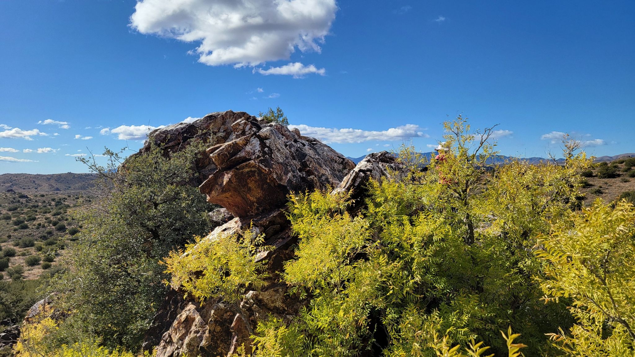 Rocky outcrop with green and yellow foliage under a bright blue sky. - Copper Mountain Loop