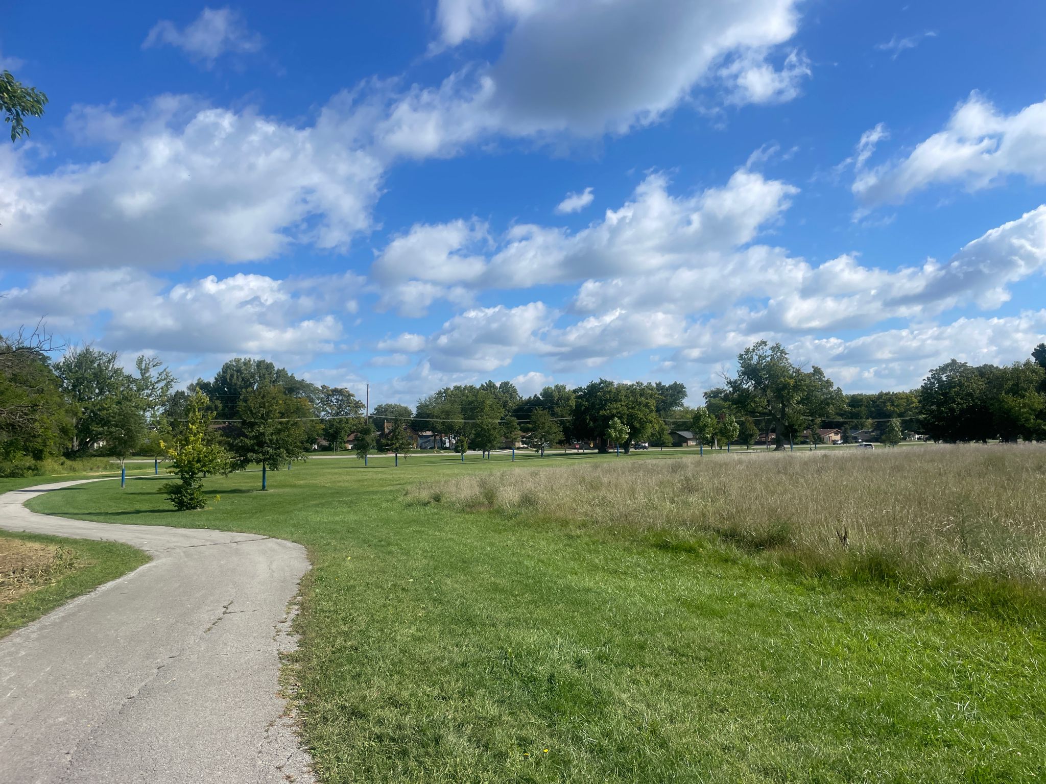 Paved path curves through a sunny green field with distant trees. - Thorn Creek Red Paved Trail