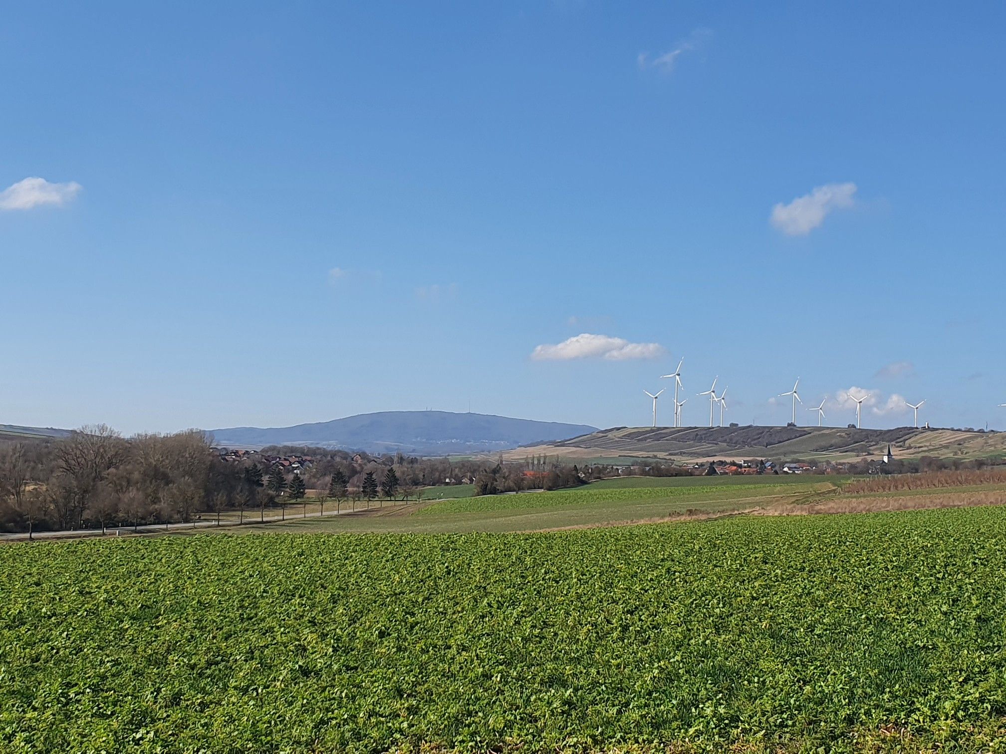 Blick zum Donnersberg
