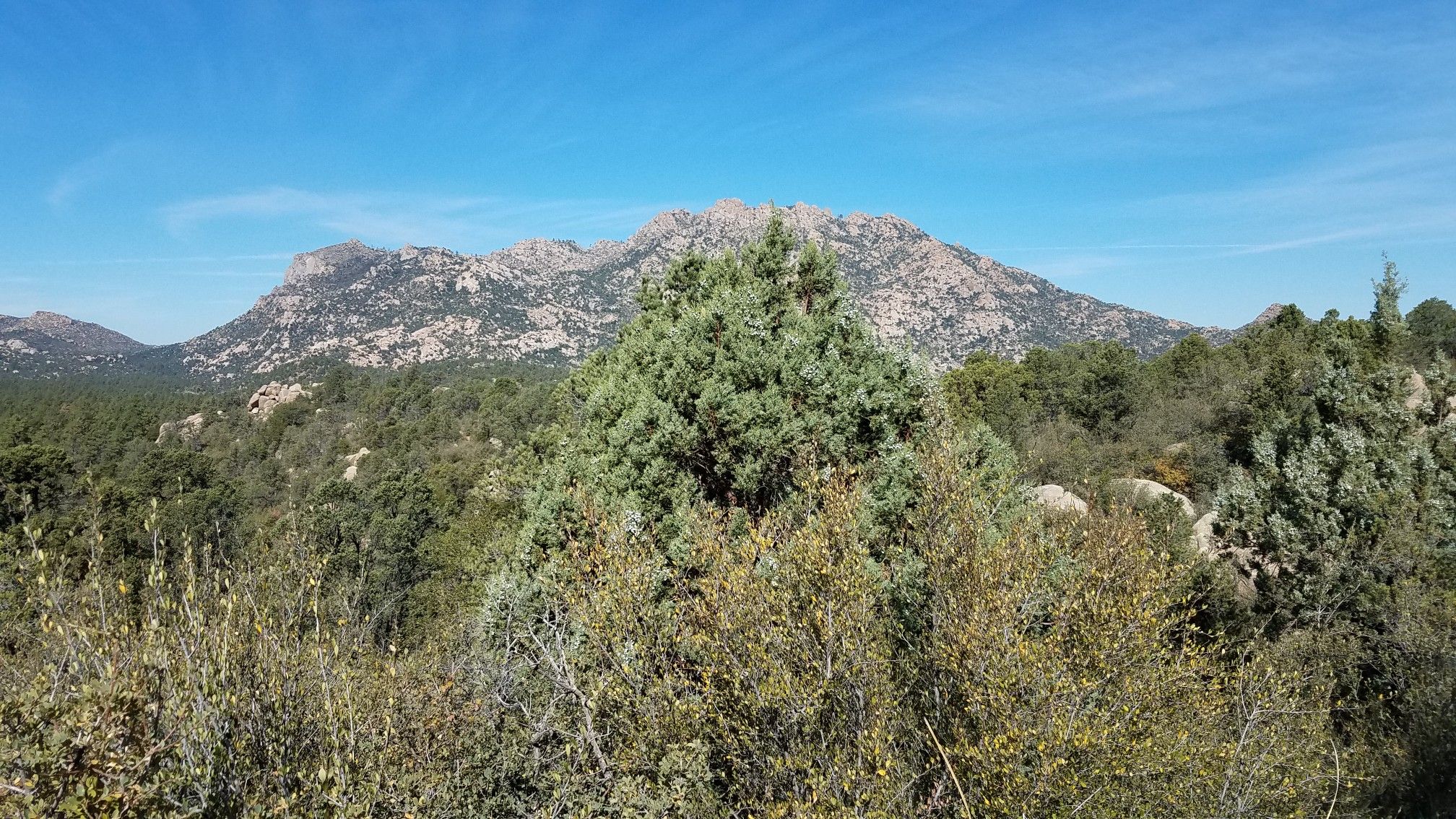 Rocky mountains rise above green trees under a clear blue sky. - Granite Basin Viewpoint loop from Stringfield Tank