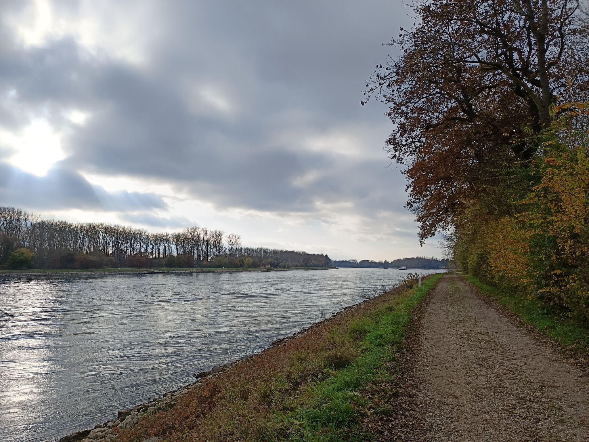 Rhein