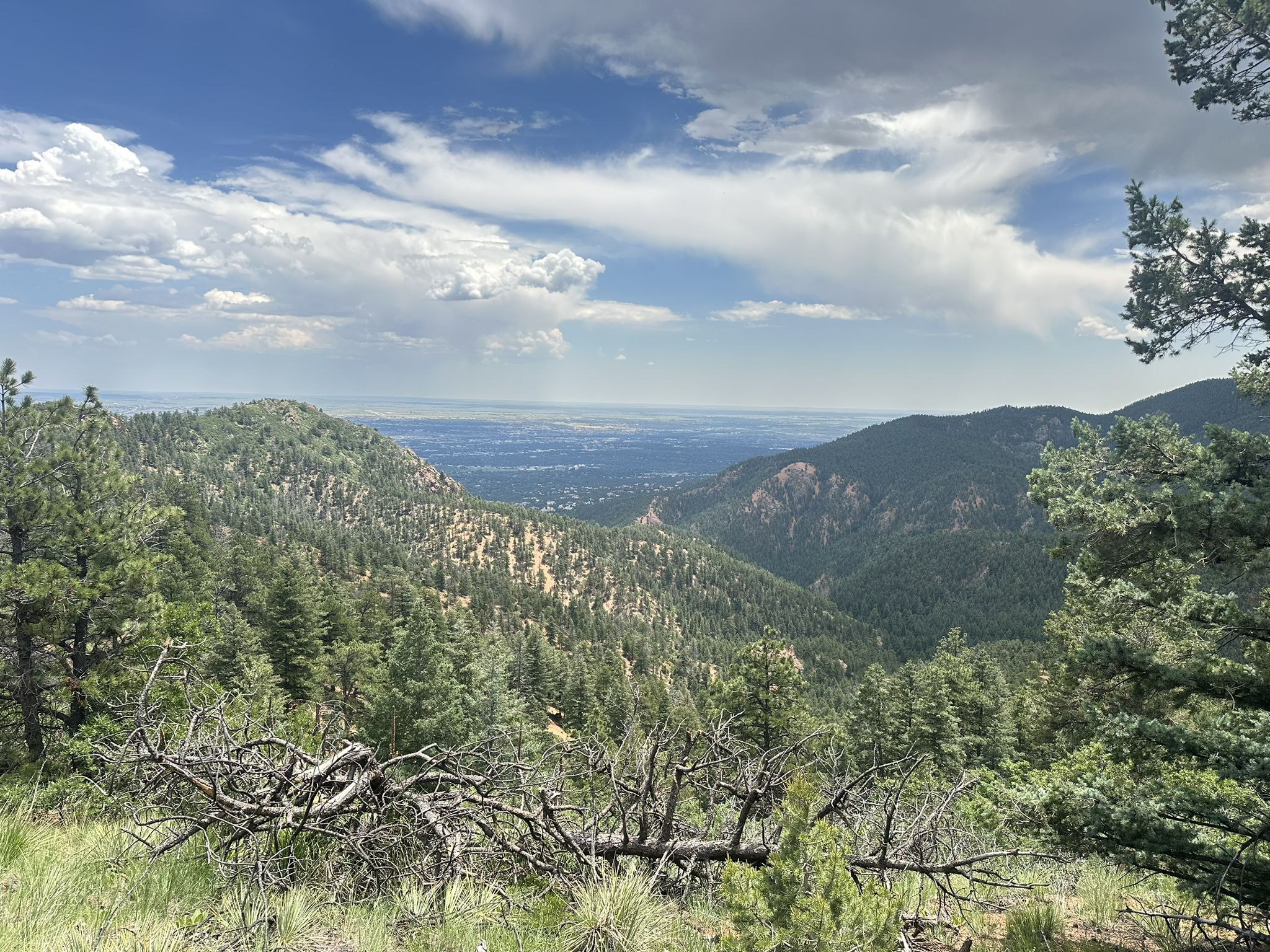 Panoramic view of a forested mountain valley under a partly cloudy sky. - Section 16 and Palmer Trail Loop