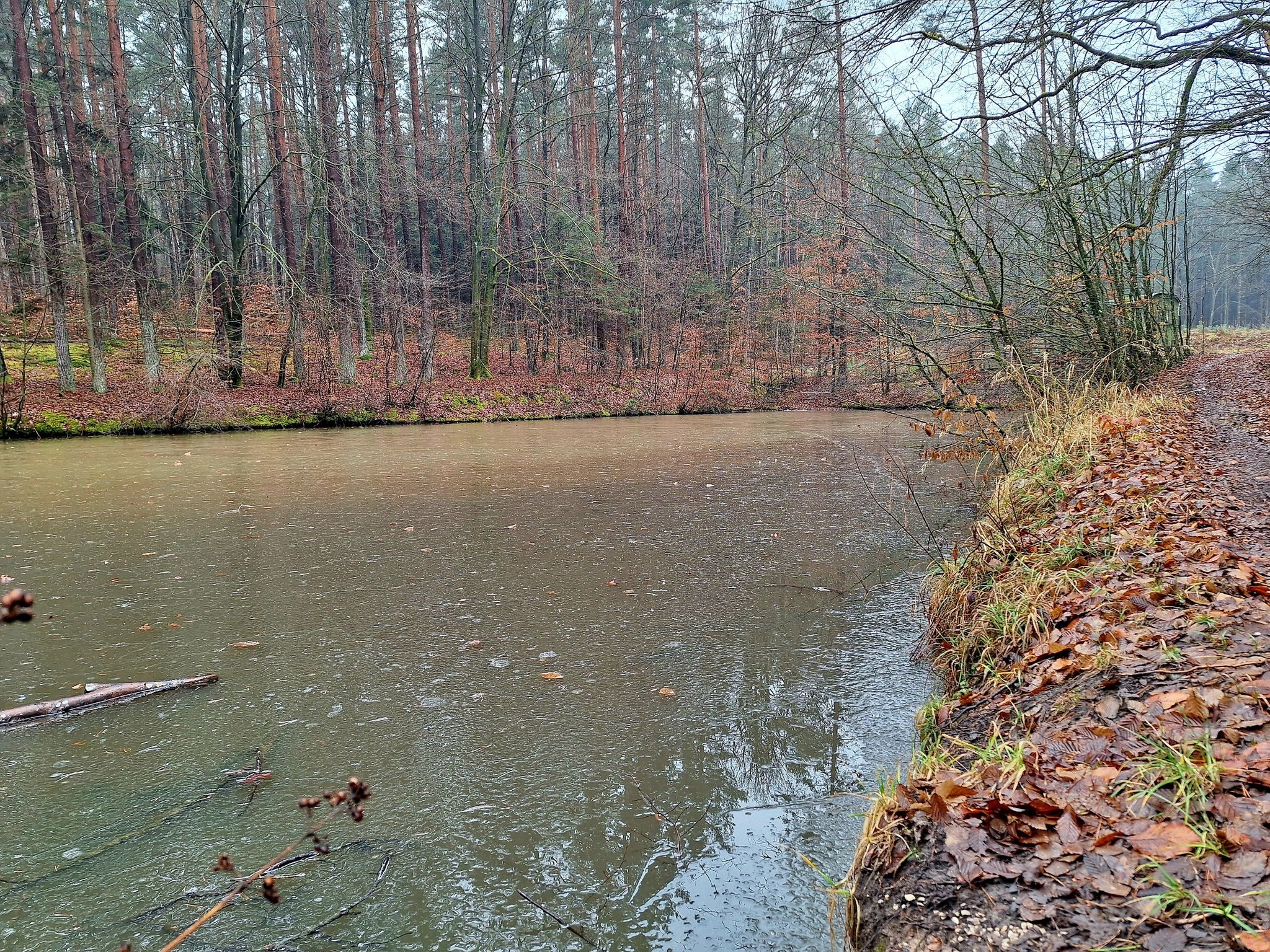 Kleiner idyllischer Weiher am Wanderparkplatz