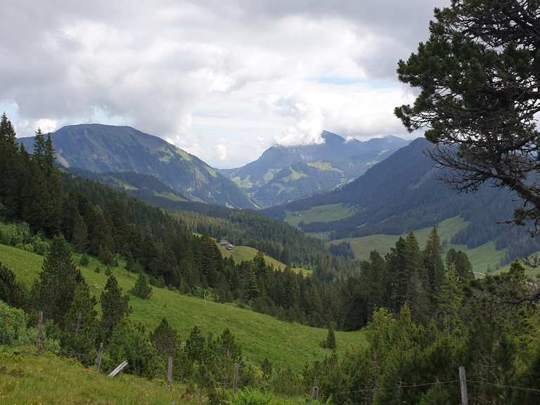 Rundwanderung Glaubenberg - Fürstein | Wanderung | Komoot