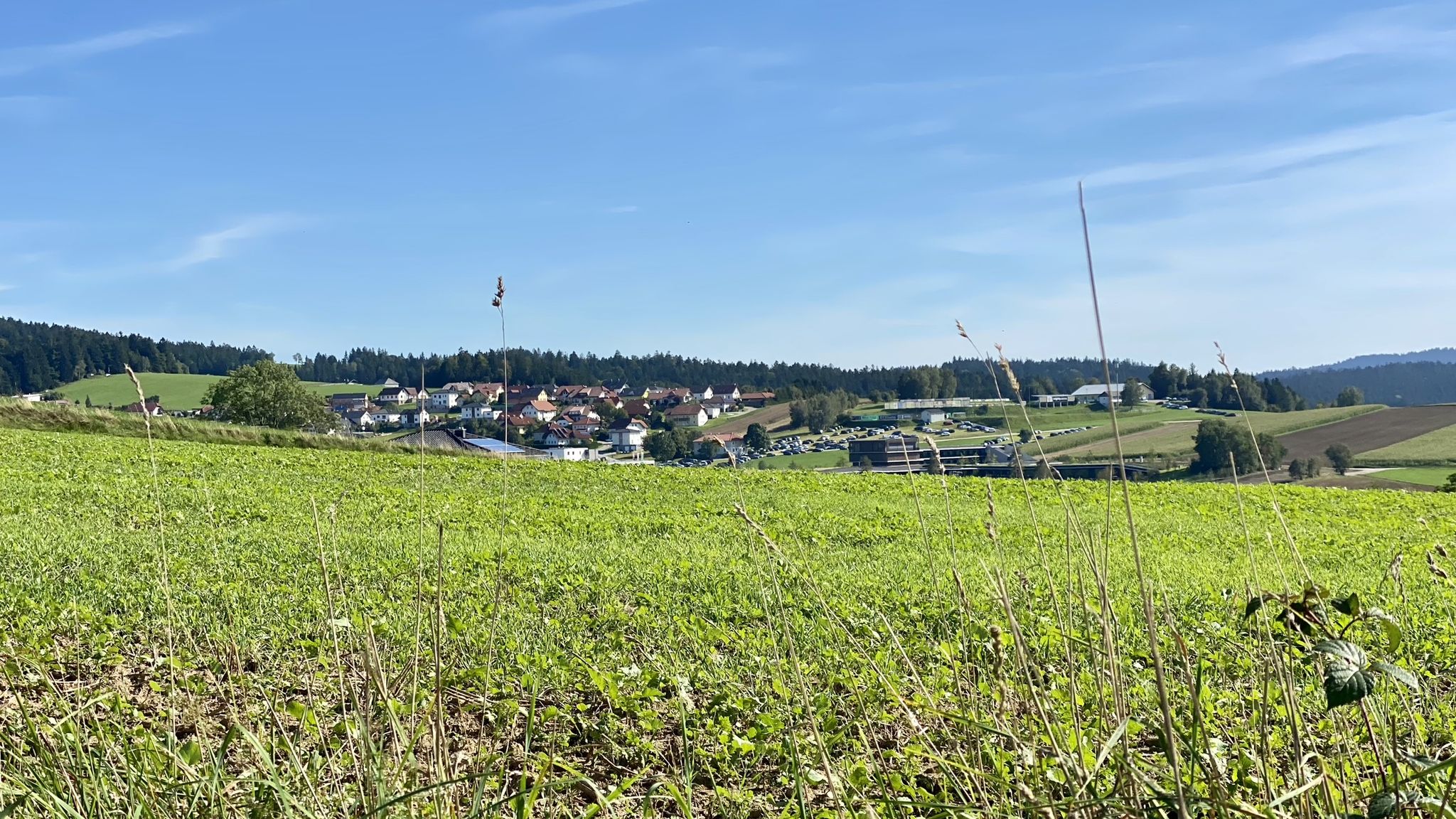 Kollerschlag