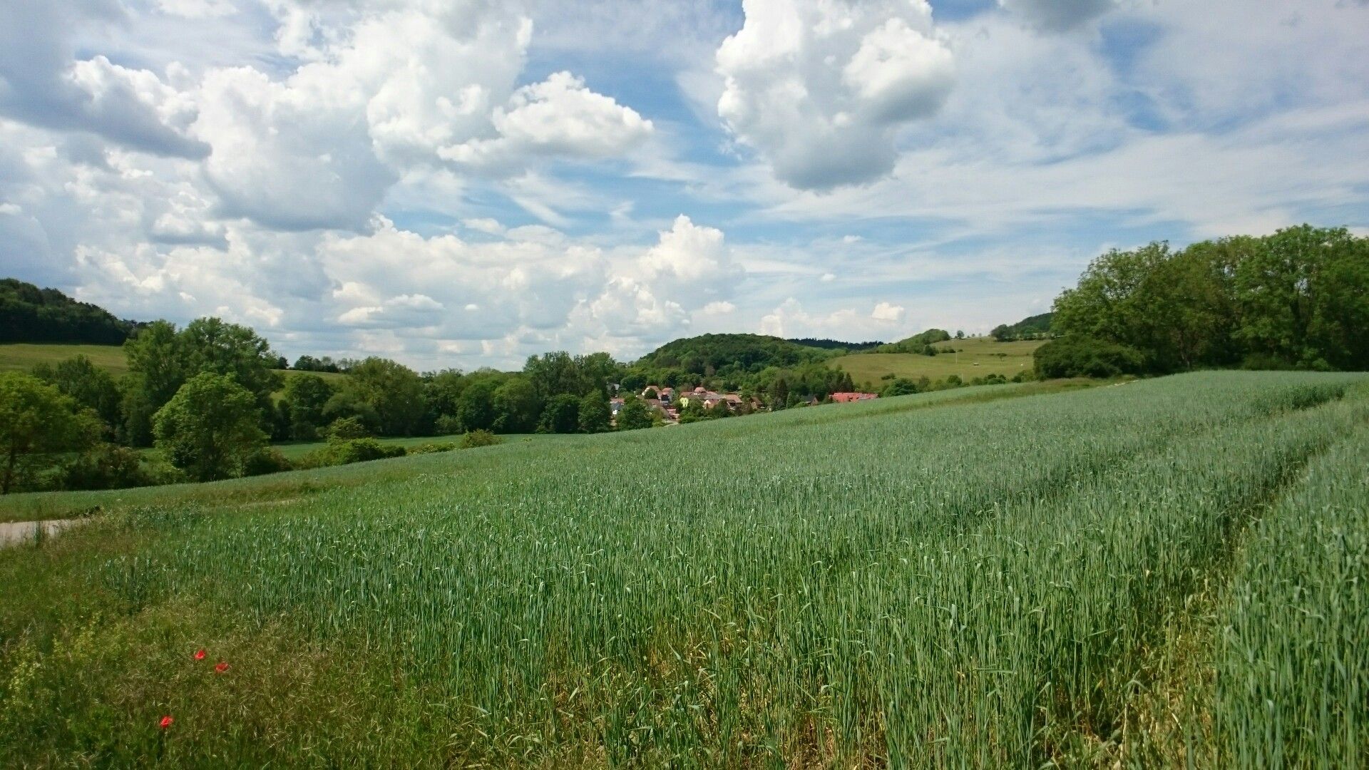 Blick Richtung Hetschburg