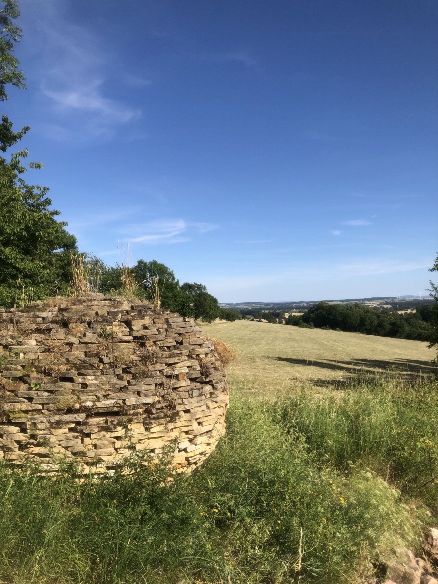 Kunst mit Blick auf Friedrichswerth