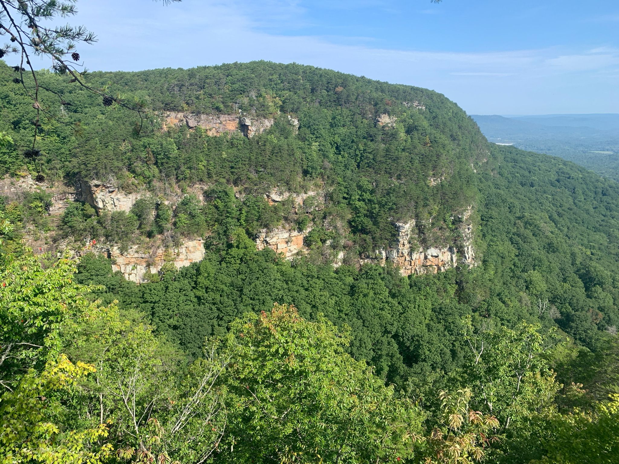 Steep, forested cliff face with visible rock layers under a bright sky. - Overlook Trail