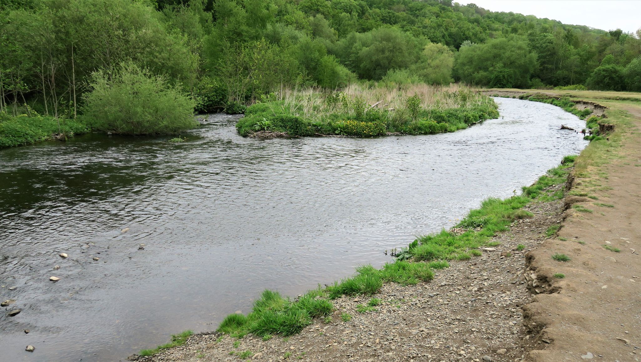 Die Oker teilt sich in mehrere Arme