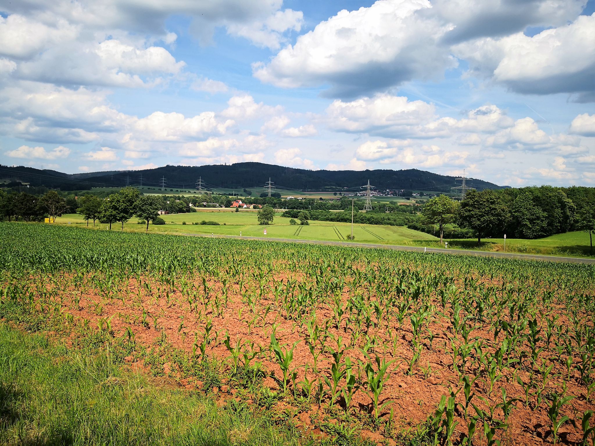 Blick Richtung Glosberg