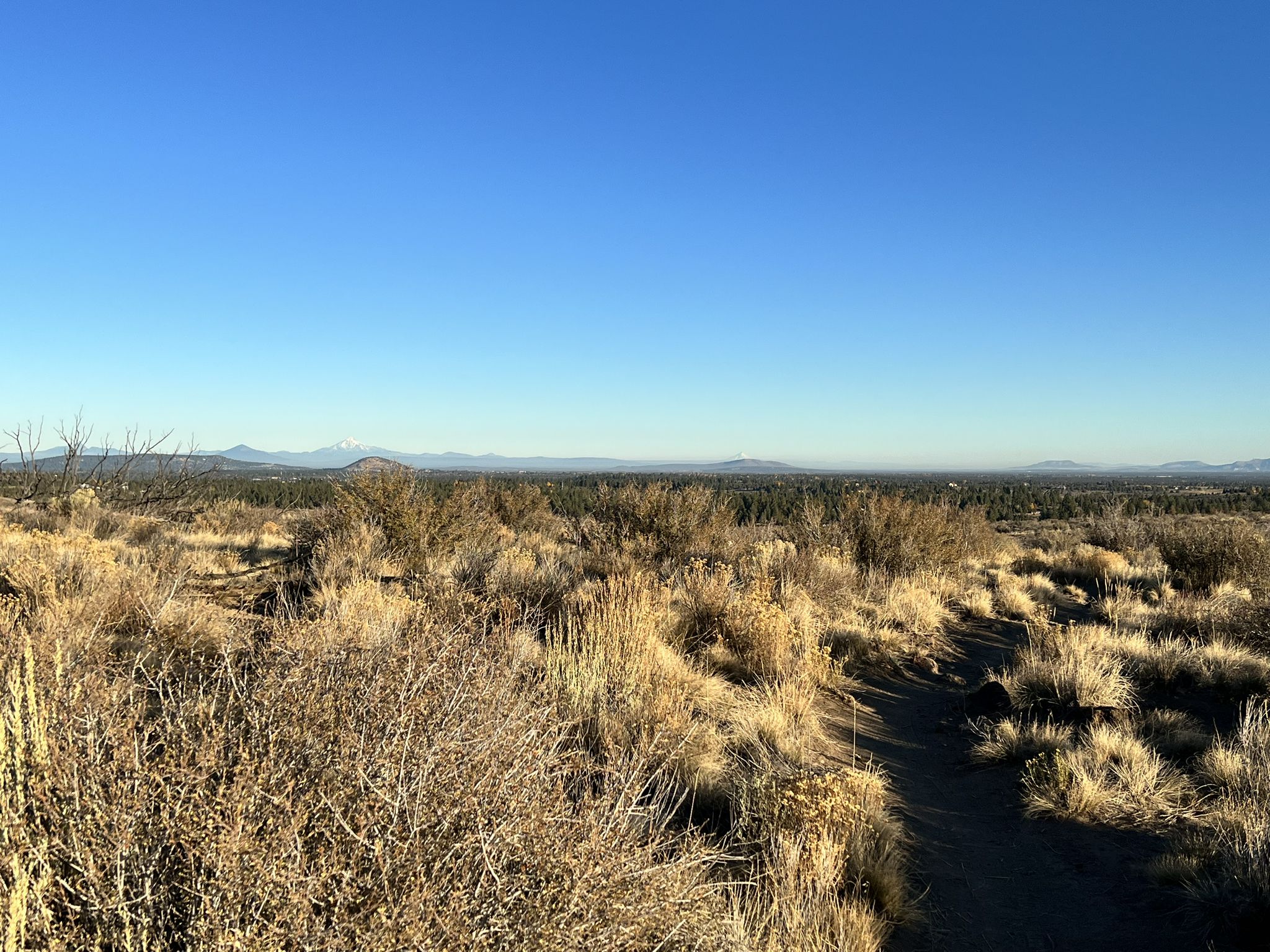 Expansive arid landscape with dry grasses and distant mountains under a clear sky. - Three Sisters View loop from Eastgate Natural Area
