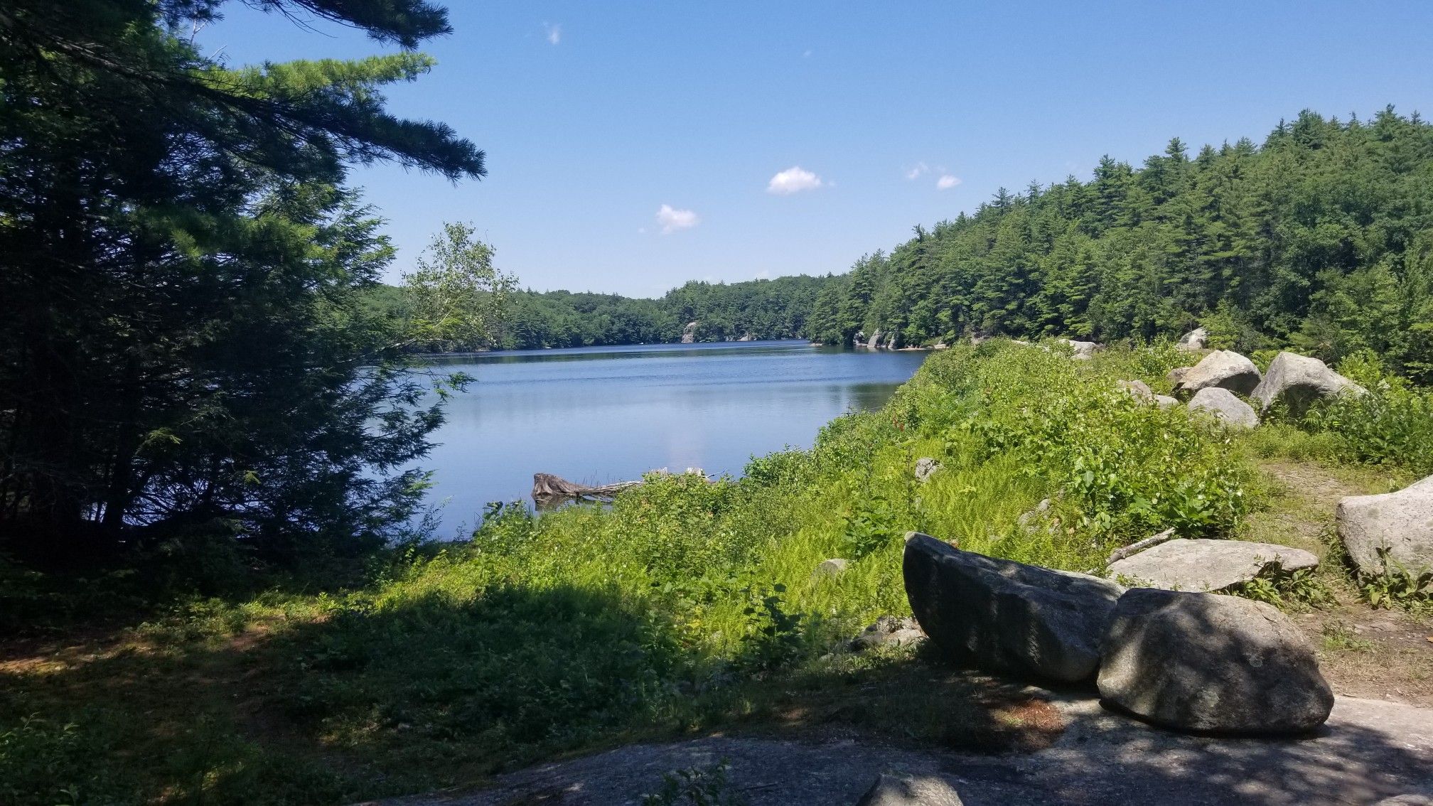 Sunny view of a calm lake surrounded by green trees and large rocks. - Middle Pond loop from York Water District Lands