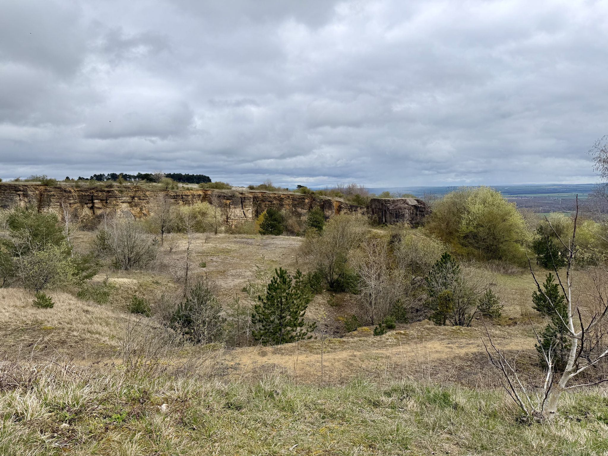 Ausblick über den ehemaligen Steinbruch und das Seille Tal
