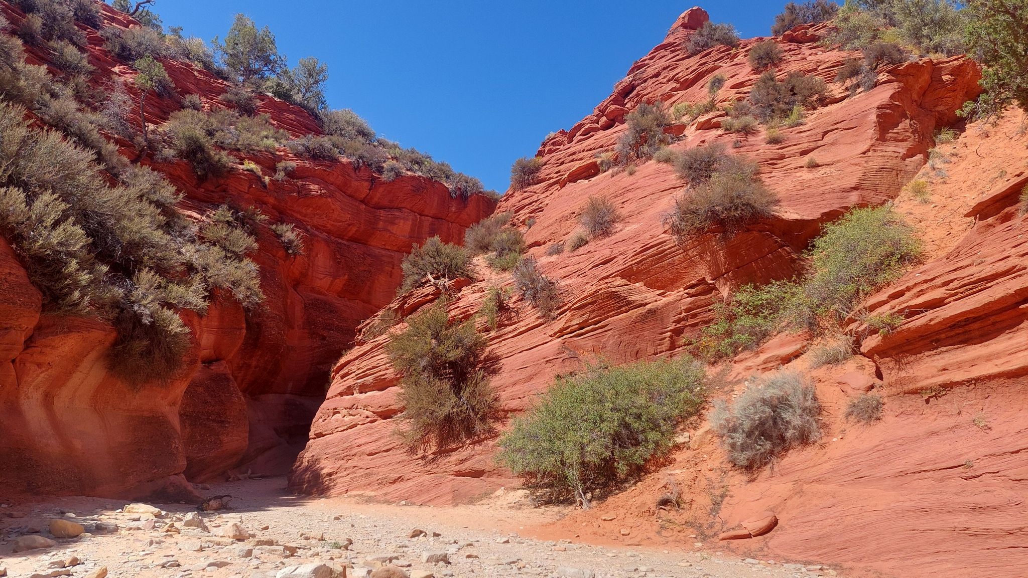 Bright sun illuminates a wide red rock canyon with a dry wash. - Red Canyon (aka Peek-a-Boo Canyon)