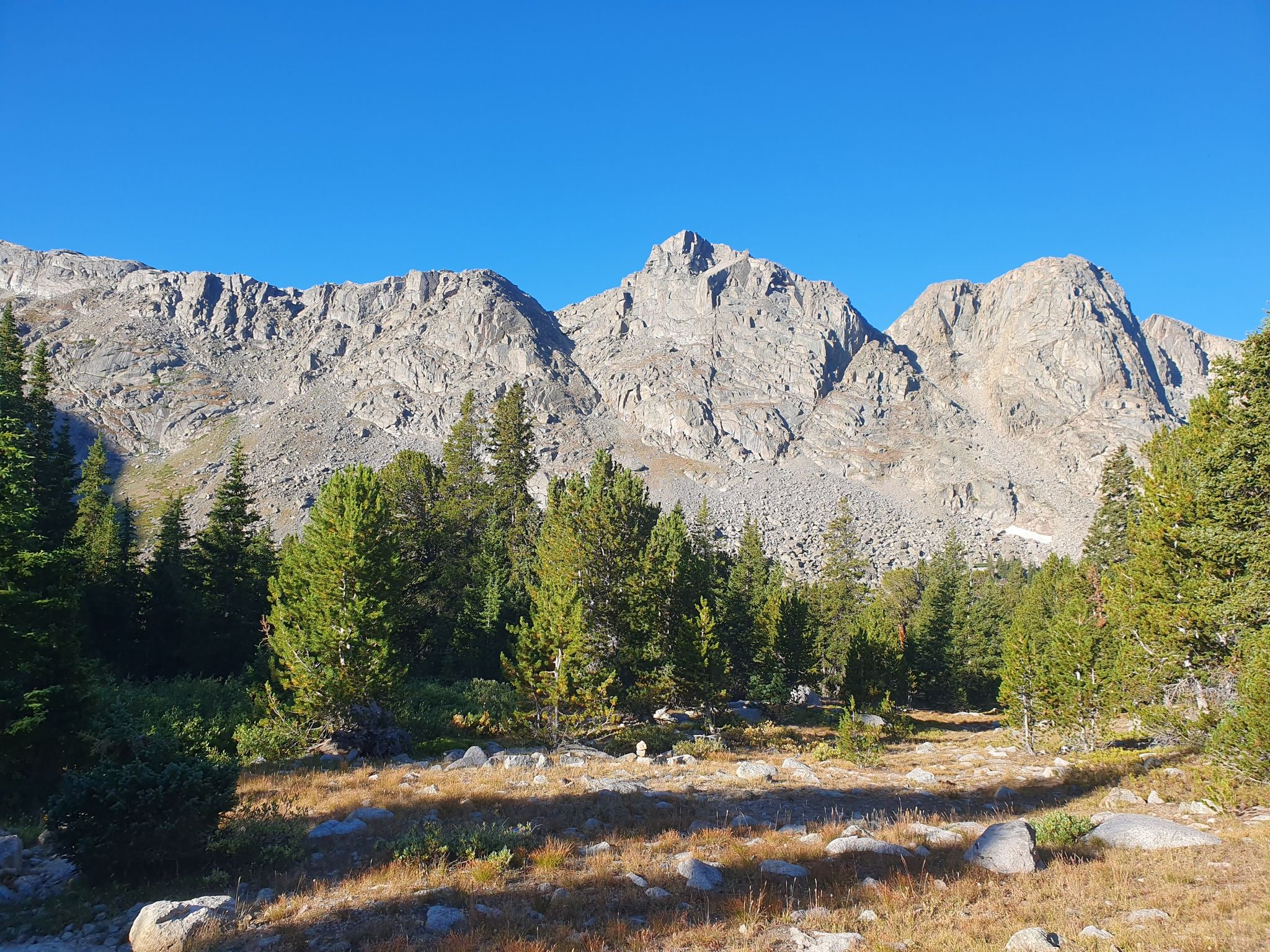 Majestic rocky mountains rise above a forest under a clear blue sky. - Cirque of the Towers to Fremont Trail Loop