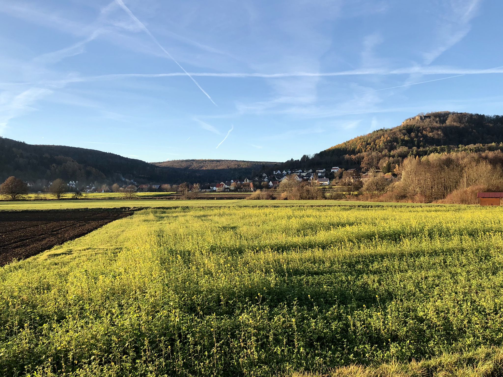 Gasseldorf