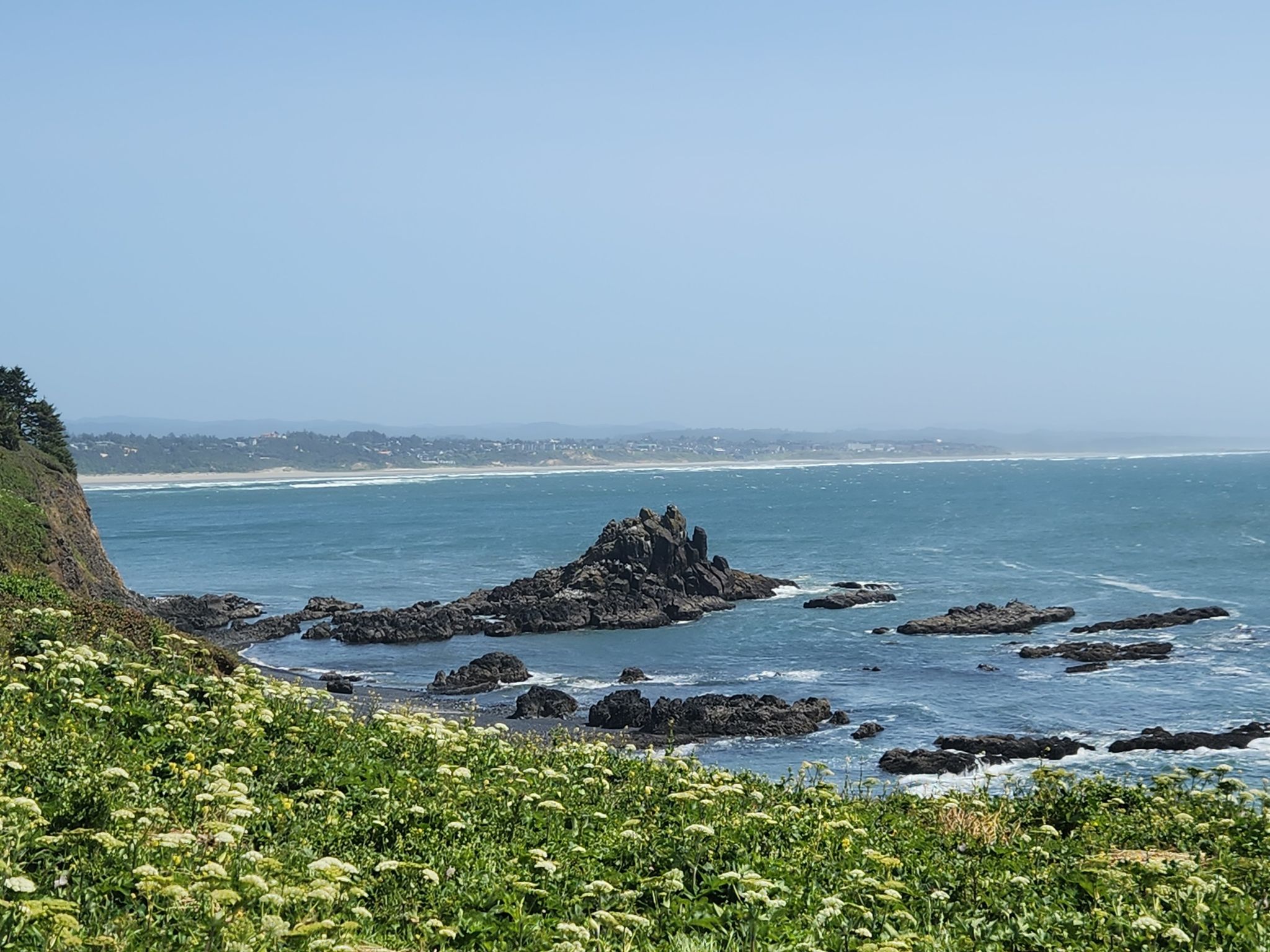 Coastal view with white wildflowers, sea stacks, and a distant shoreline. - Salal Hill and Lighthouse Trail