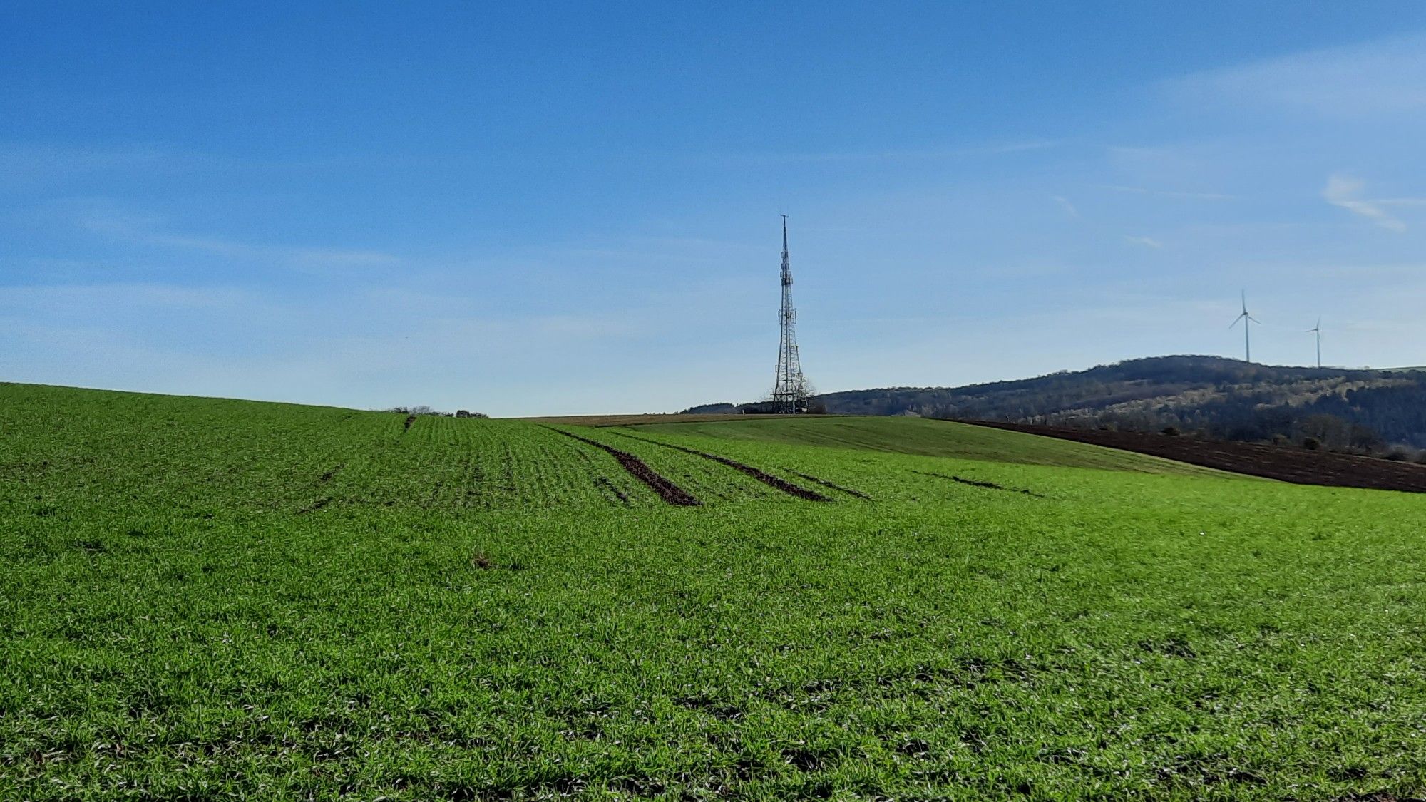 Sendemast azf dem Kortenberg