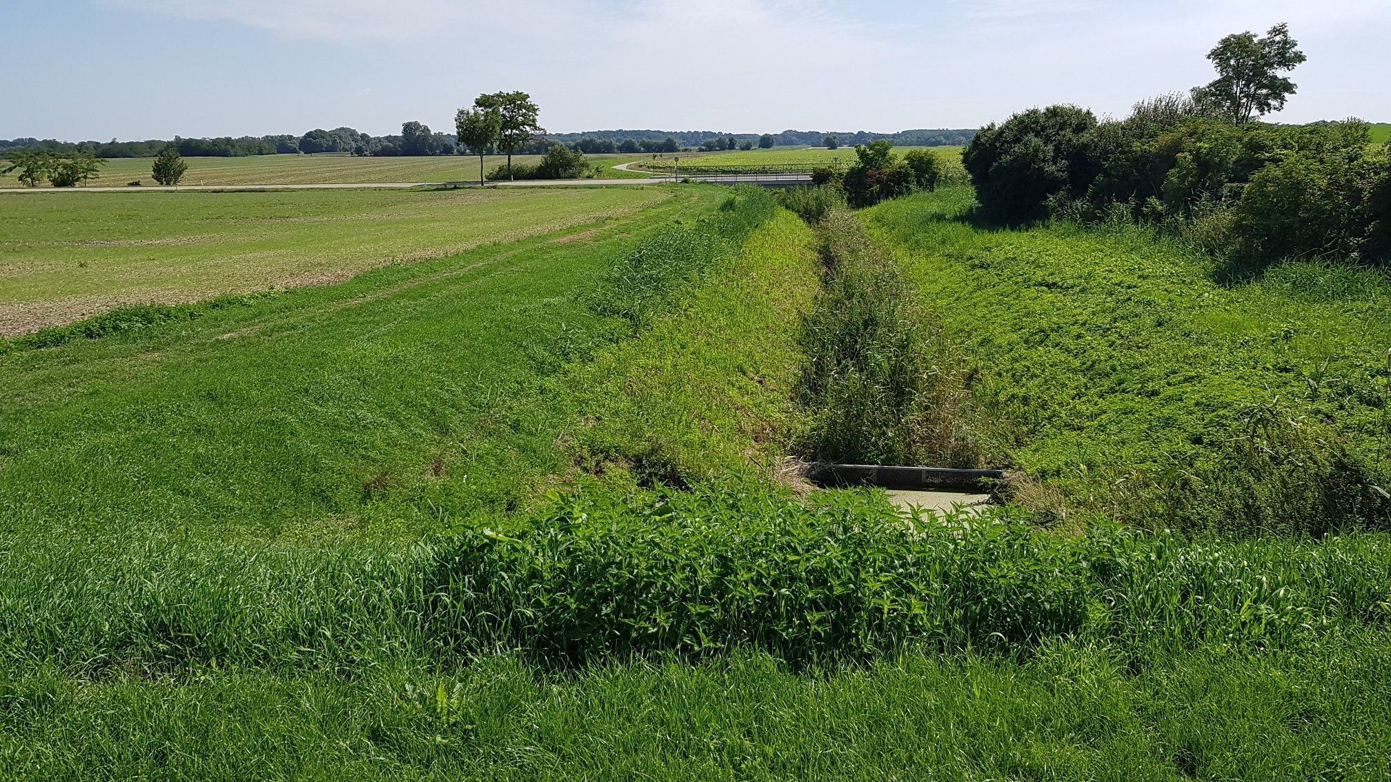 Beim Teich Bernhardsthal