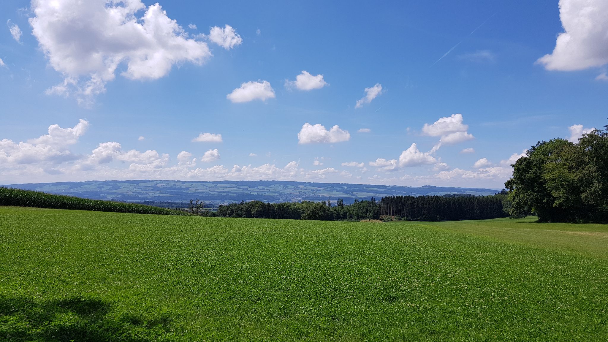 Gegenüber der "Gebirgszug" Lindenberg