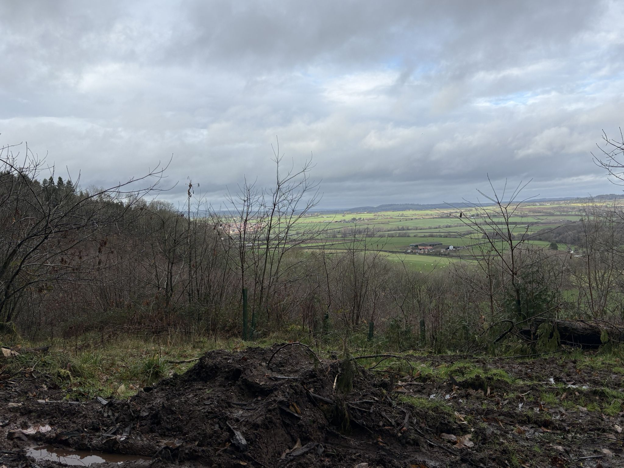 View from Penyard Wood