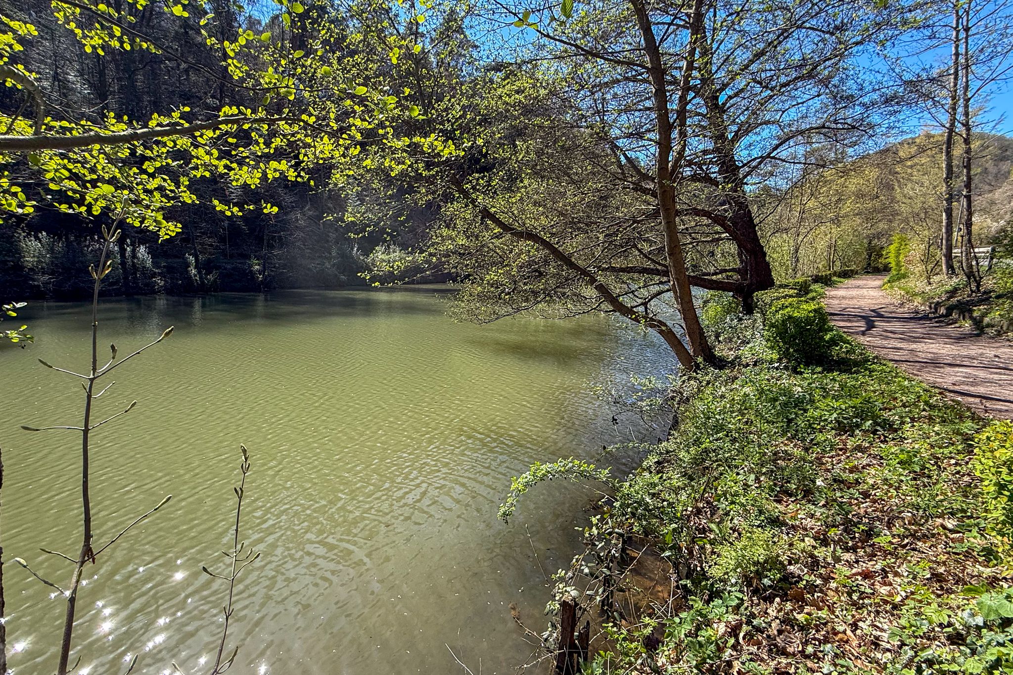 Radweg am Schwanenweiher