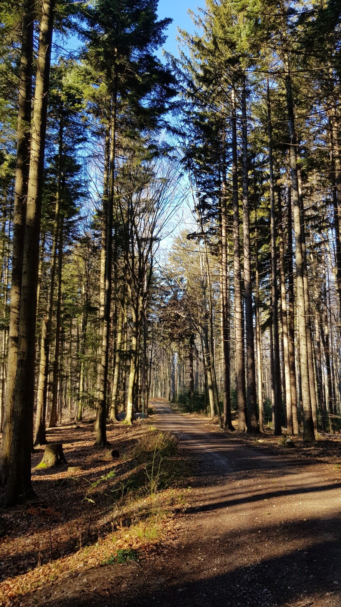 Am Weg zum kleinen Stiefelberg 