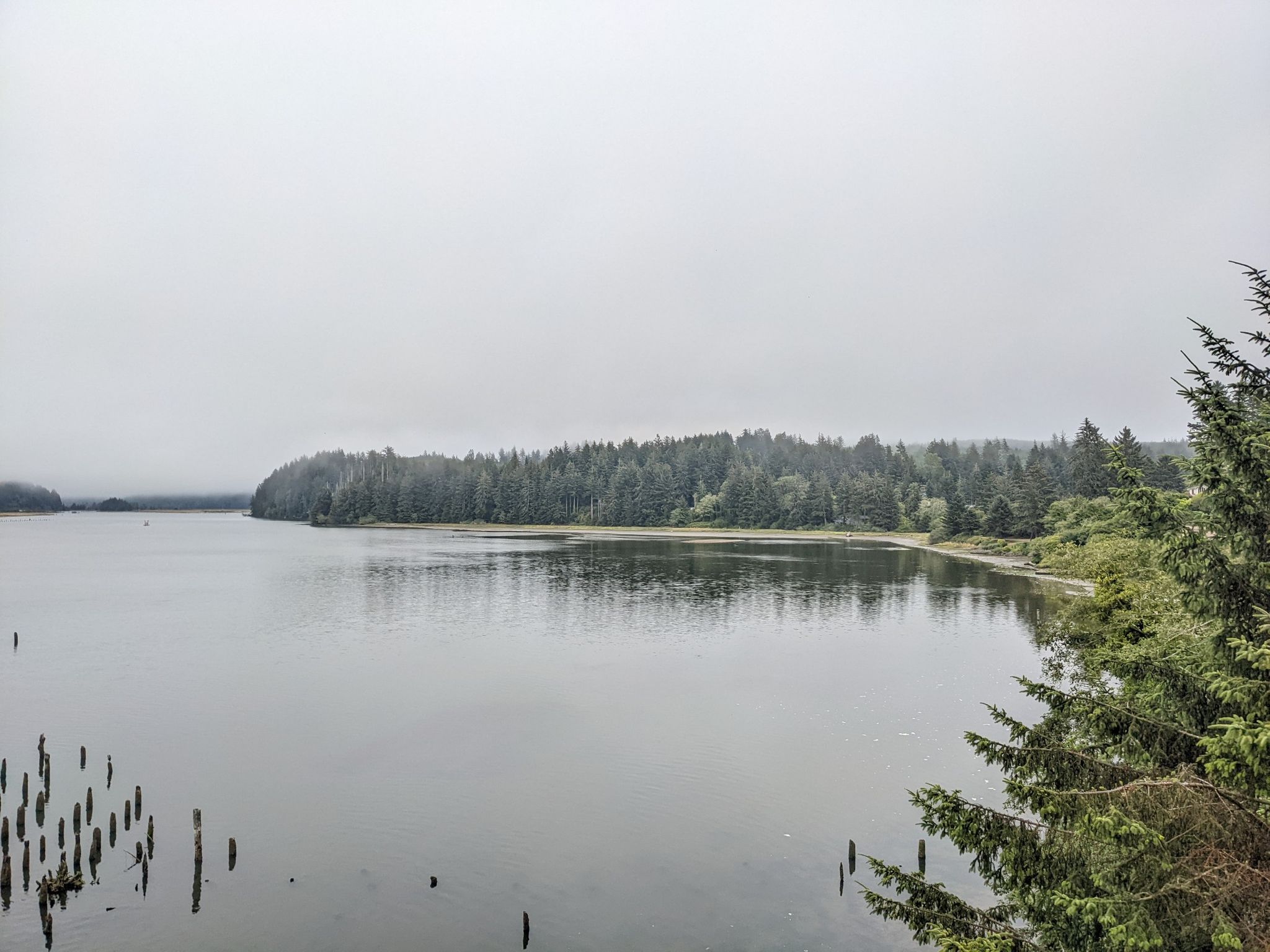 Overcast view of a wide, calm body of water and dense evergreen forest. - Jetty to Jetty loop